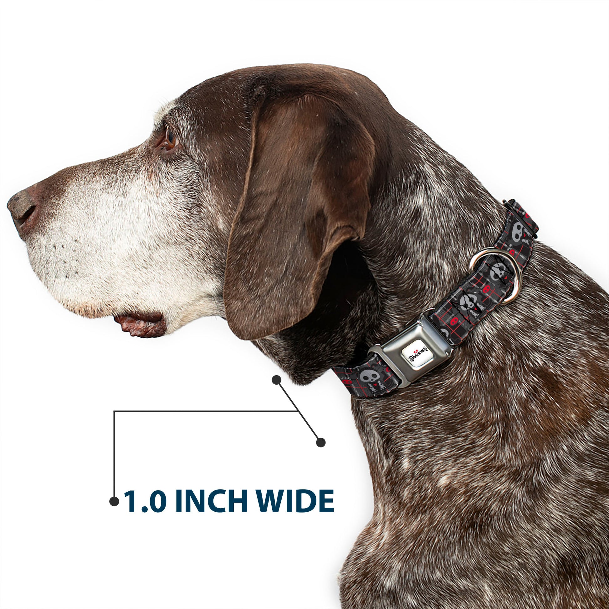 SKELANIMALS Title Logo Full Color White/Red/Black Seatbelt Buckle Collar - Skelanimals Five Animals and Face Logo Plaid Black/Red/White Seatbelt Buckle Collars Skelanimals
