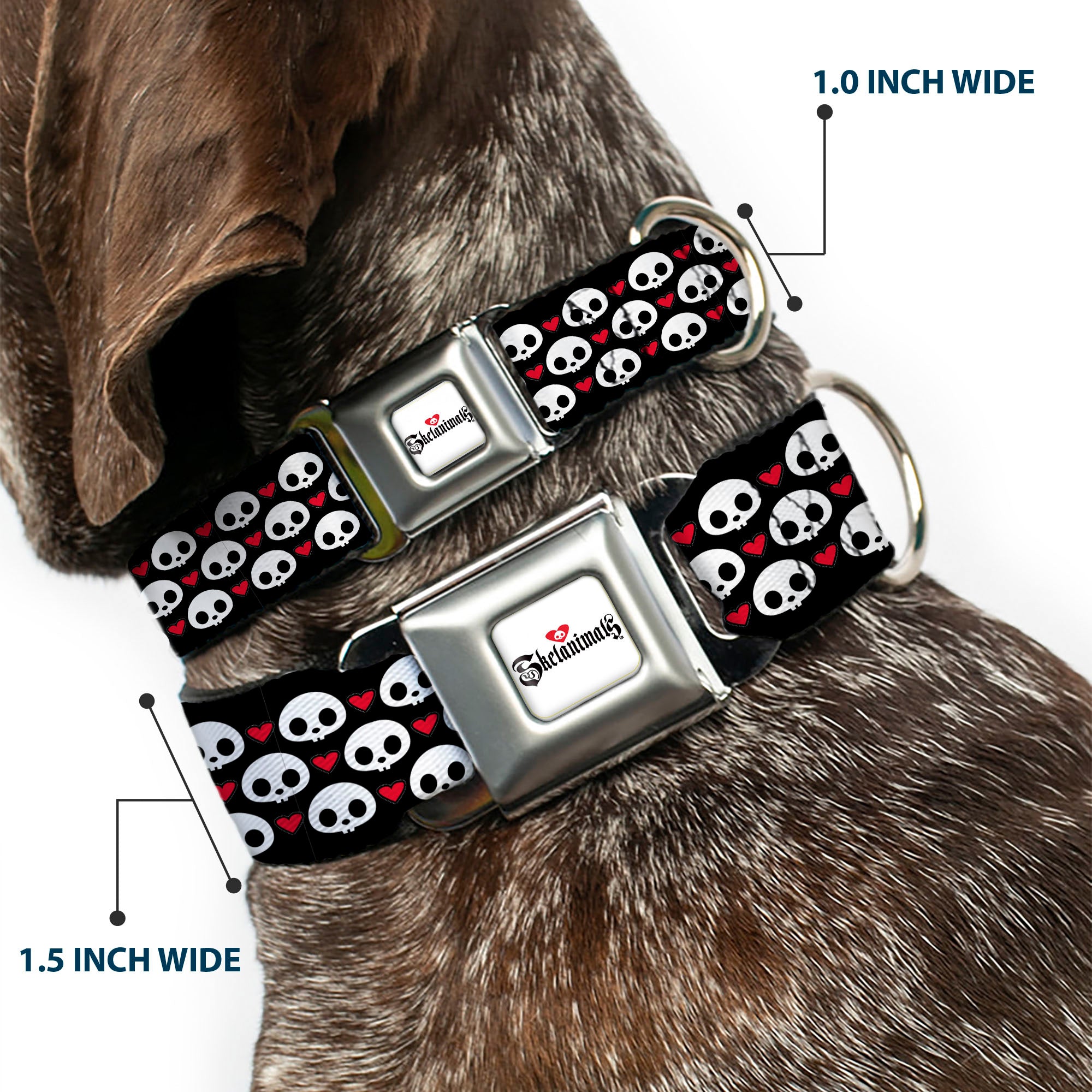 SKELANIMALS Title Logo Full Color White/Red/Black Seatbelt Buckle Collar - Skelanimals Face Logo and Heart Black/White/Red Seatbelt Buckle Collars Skelanimals