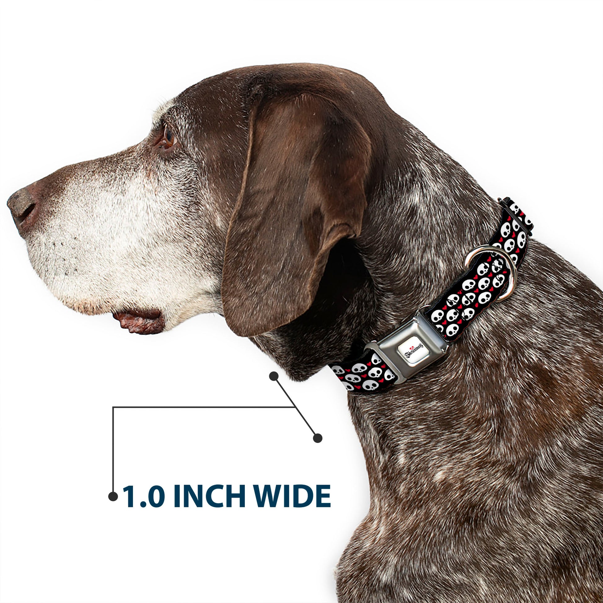 SKELANIMALS Title Logo Full Color White/Red/Black Seatbelt Buckle Collar - Skelanimals Face Logo and Heart Black/White/Red Seatbelt Buckle Collars Skelanimals