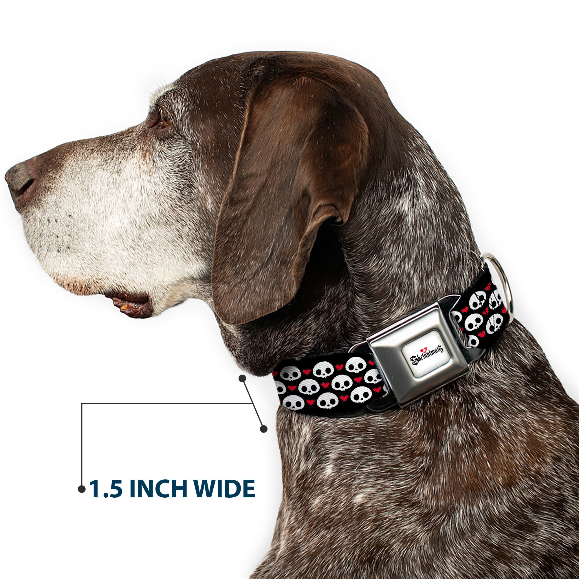 SKELANIMALS Title Logo Full Color White/Red/Black Seatbelt Buckle Collar - Skelanimals Face Logo and Heart Black/White/Red Seatbelt Buckle Collars Skelanimals