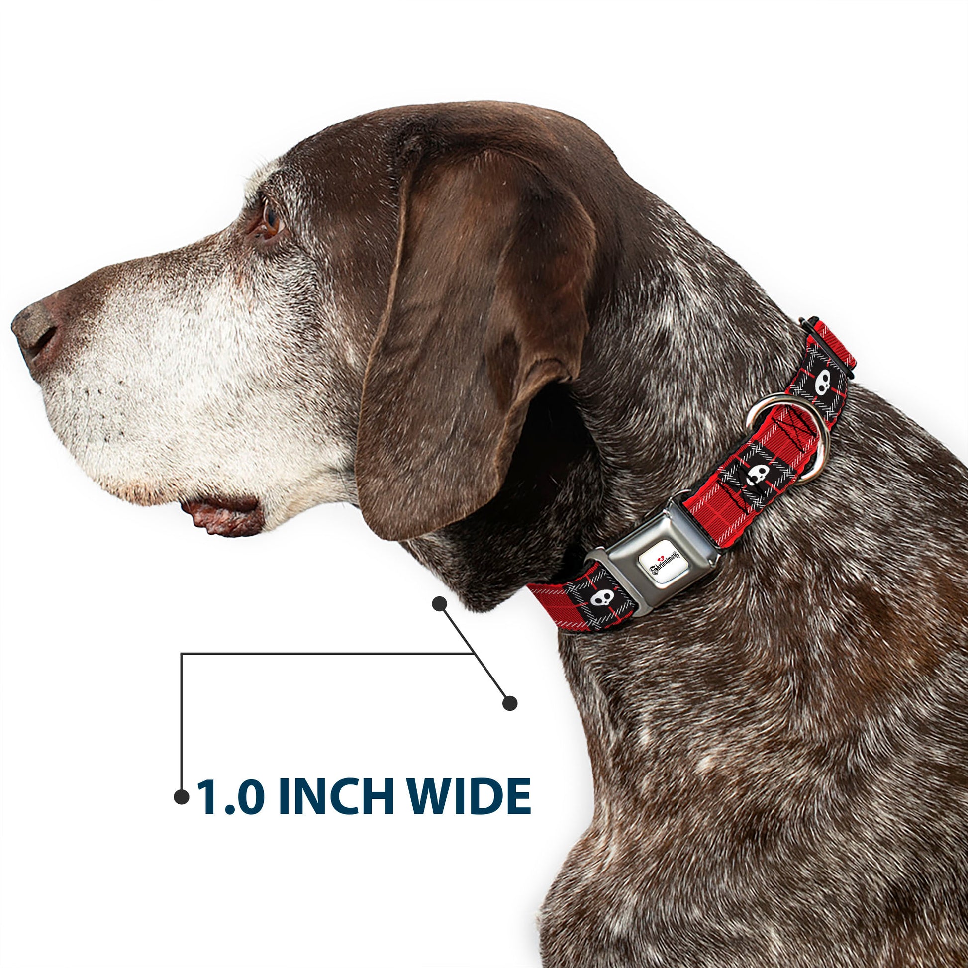 SKELANIMALS Title Logo Full Color White/Red/Black Seatbelt Buckle Collar - Skelanimals Face Logo Plaid Red/Black/White Seatbelt Buckle Collars Skelanimals