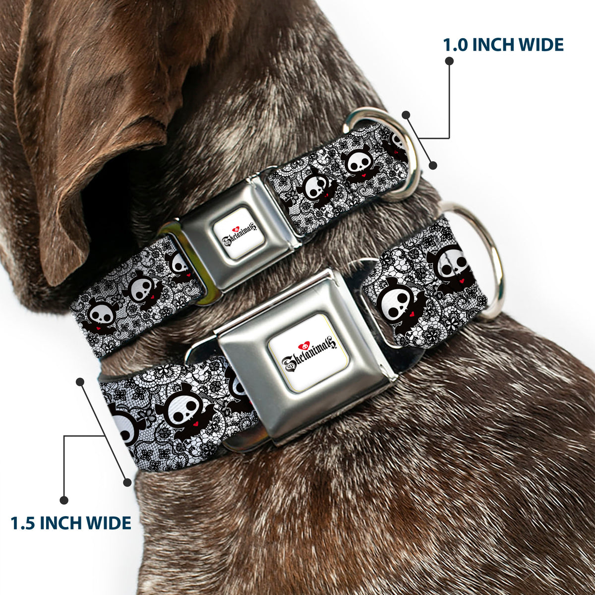 SKELANIMALS Title Logo Full Color White/Red/Black Seatbelt Buckle Collar - Skelanimals Diego Pose Lace Print White/Black Seatbelt Buckle Collars Skelanimals
