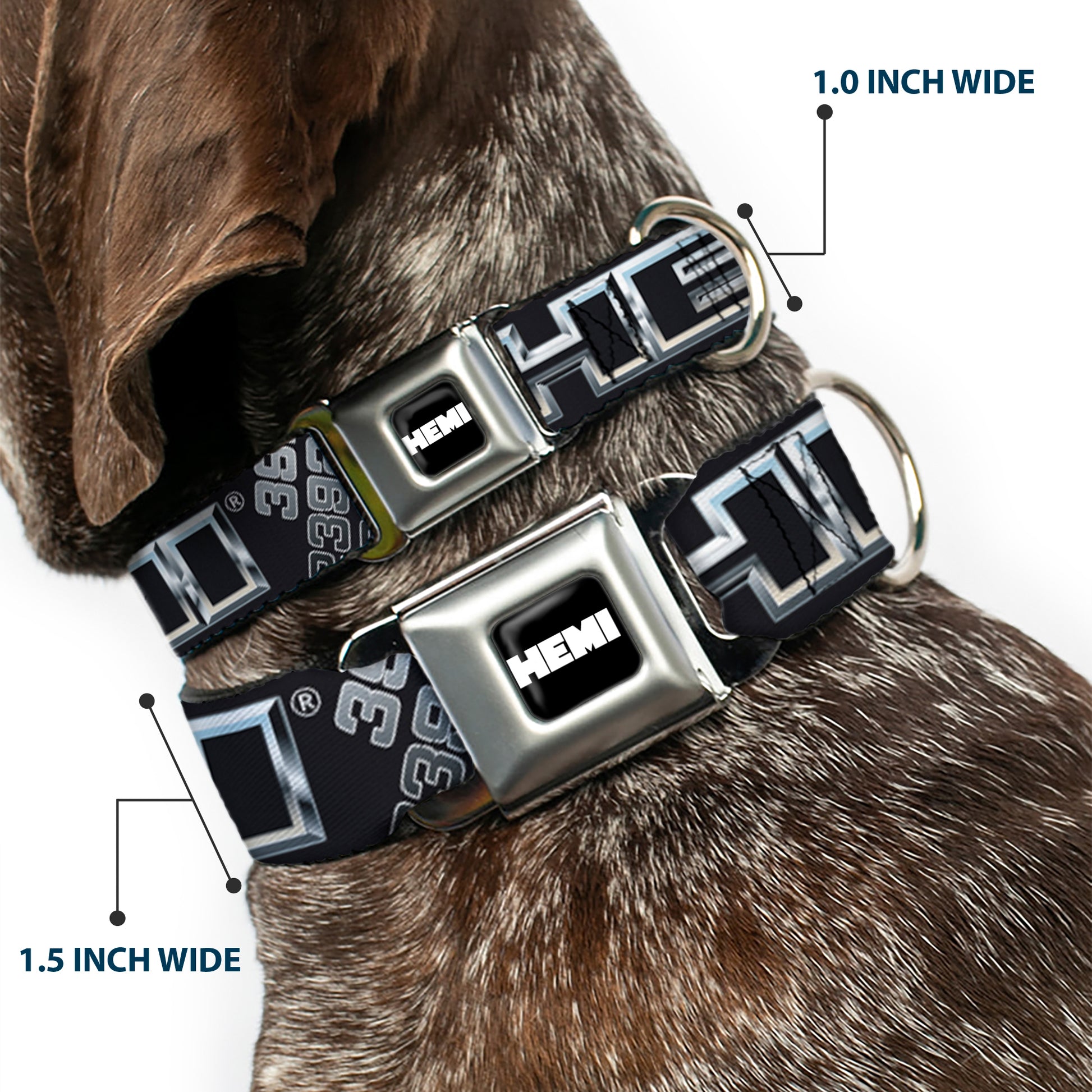 HEMI Bold Full Color Black/White Seatbelt Buckle Collar - HEMI Bold Outline 392/426 Black/Silver-Fade Seatbelt Buckle Collars Hemi