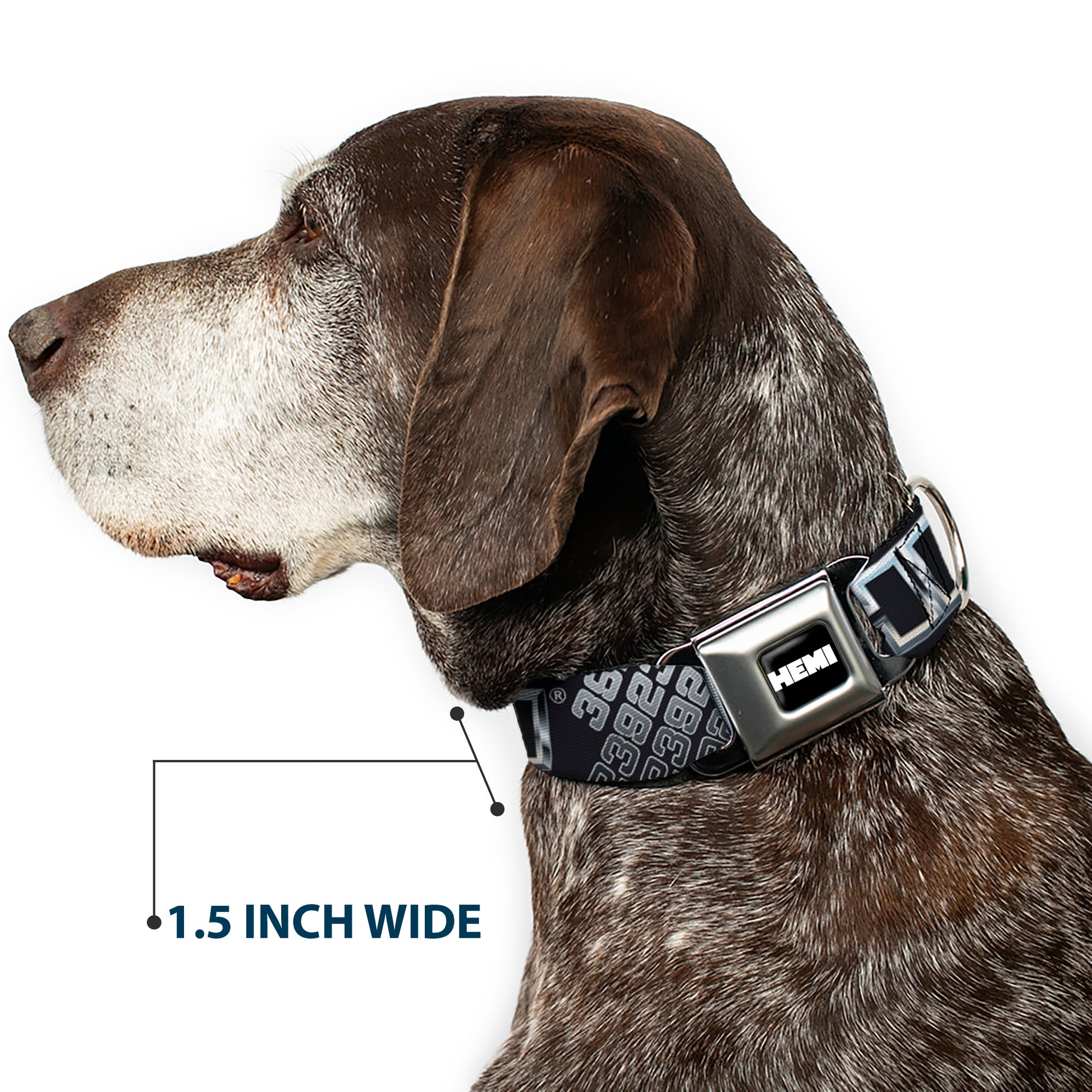 HEMI Bold Full Color Black/White Seatbelt Buckle Collar - HEMI Bold Outline 392/426 Black/Silver-Fade Seatbelt Buckle Collars Hemi