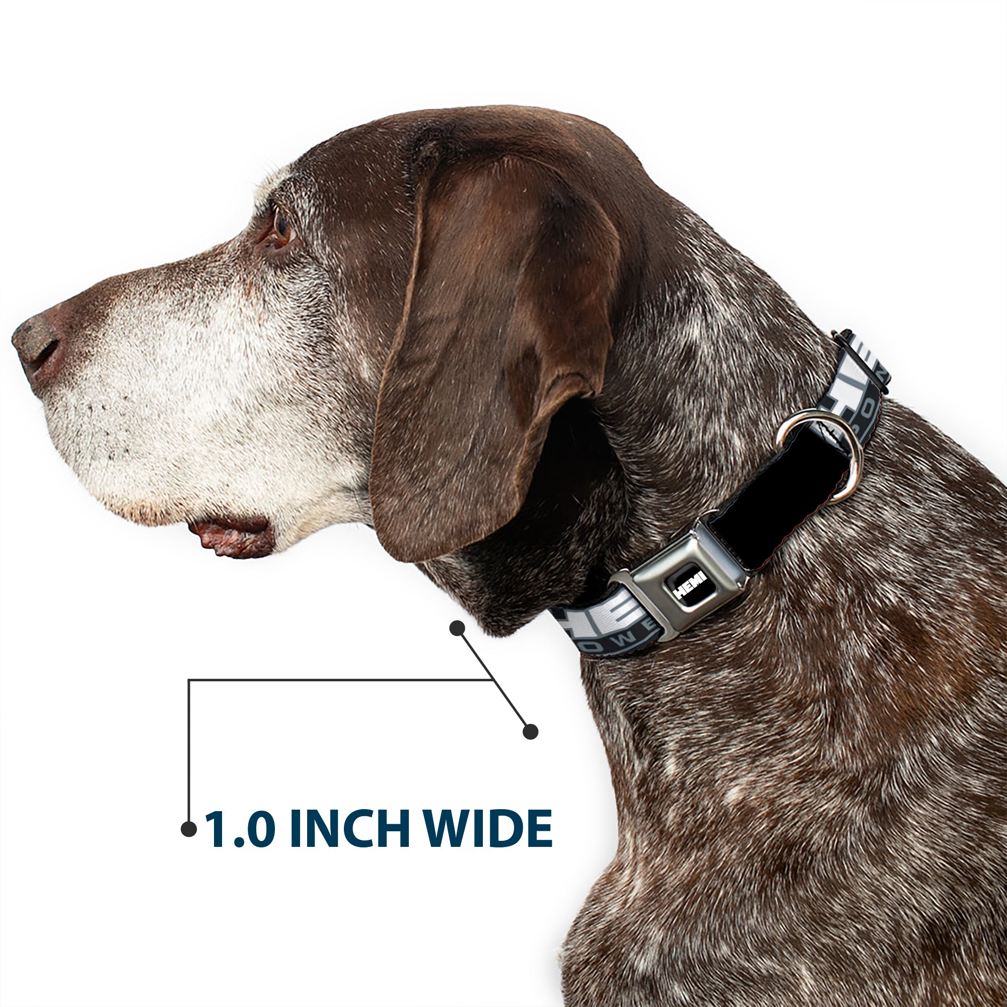 HEMI Bold Full Color Black/White Seatbelt Buckle Collar - HEMI POWERED Logo Black/Gray/White Seatbelt Buckle Collars Hemi