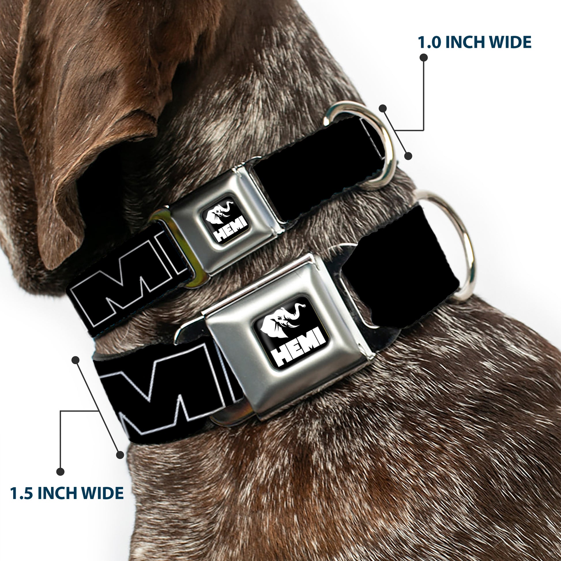 HEMI Elephant Logo Full Color Black White Seatbelt Buckle Collar - HEMI Bold Outline Black/White Seatbelt Buckle Collars Hemi