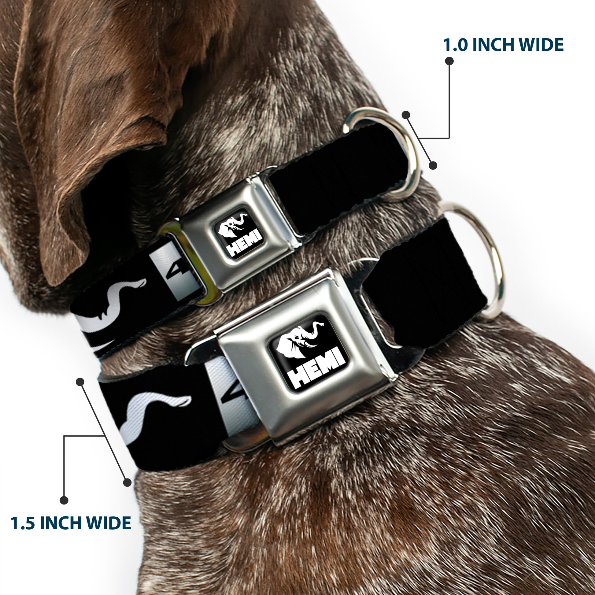 HEMI Elephant Logo Full Color Black/White Seatbelt Buckle Collar - HEMI 426/Elephant Logo 50 YEARS Black/White/Silver-Fade Seatbelt Buckle Collars Hemi