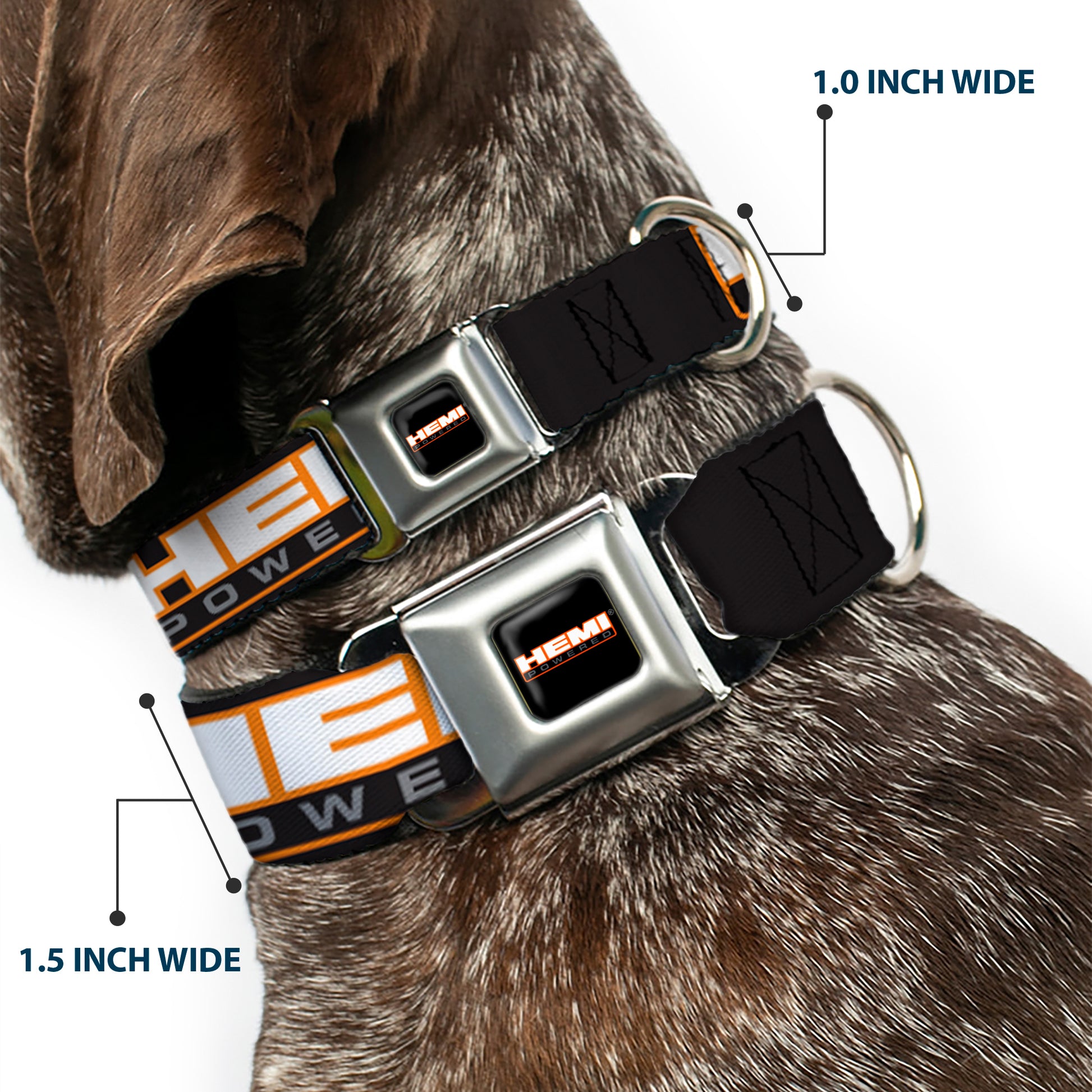 HEMI POWERED Logo Full Color Black/Orange/White/Gray Seatbelt Buckle Collar - HEMI POWERED Logo Repeat Black/Orange/White/Gray Seatbelt Buckle Collars Hemi