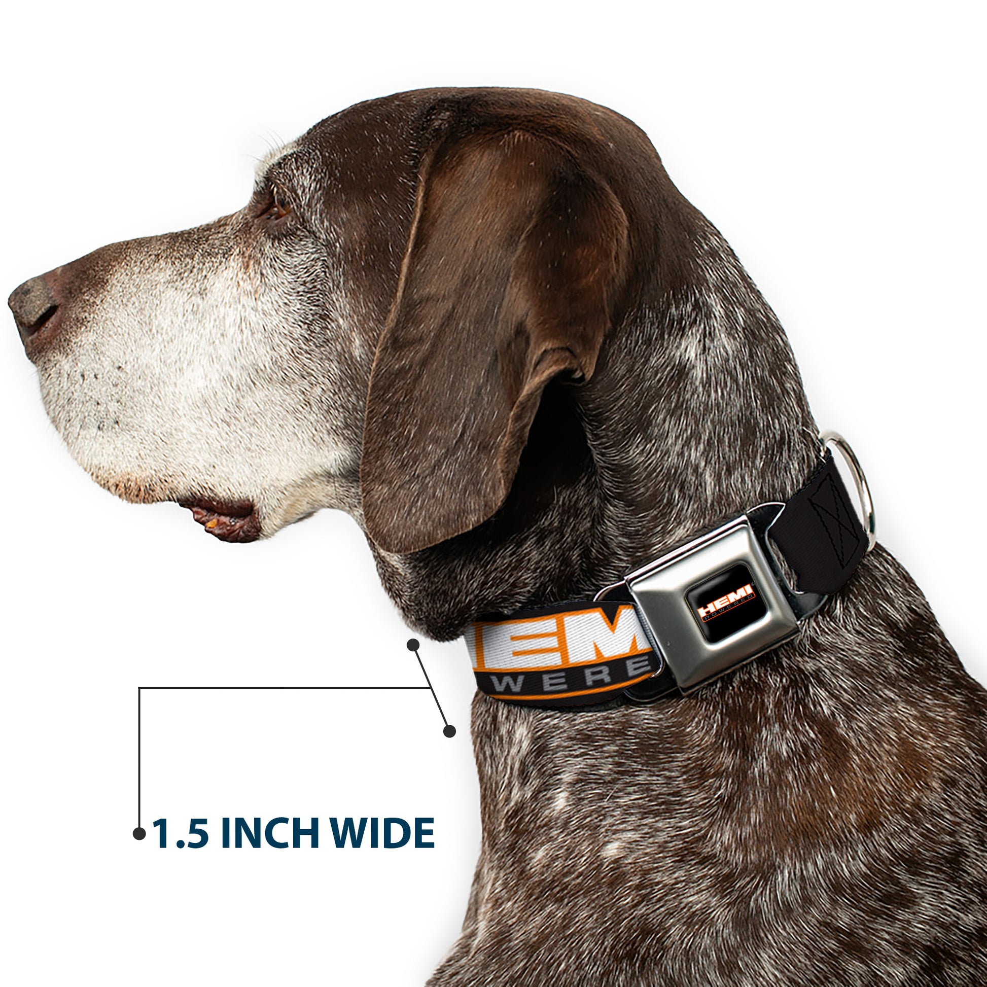 HEMI POWERED Logo Full Color Black/Orange/White/Gray Seatbelt Buckle Collar - HEMI POWERED Logo Repeat Black/Orange/White/Gray Seatbelt Buckle Collars Hemi
