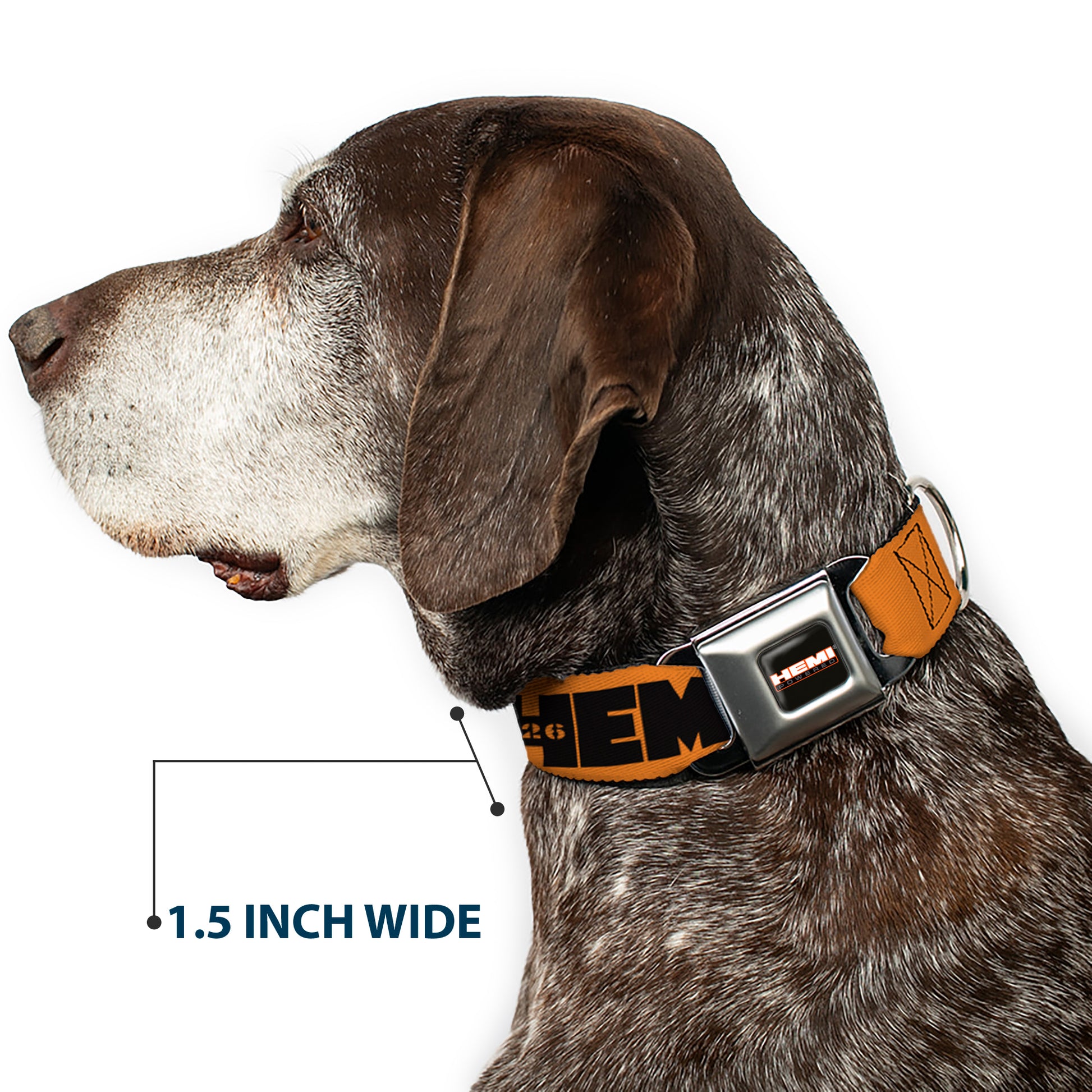 HEMI 426 Logo Full Color Orange Black Seatbelt Buckle Collar - HEMI 426 Logo Repeat Orange/Black Seatbelt Buckle Collars Hemi