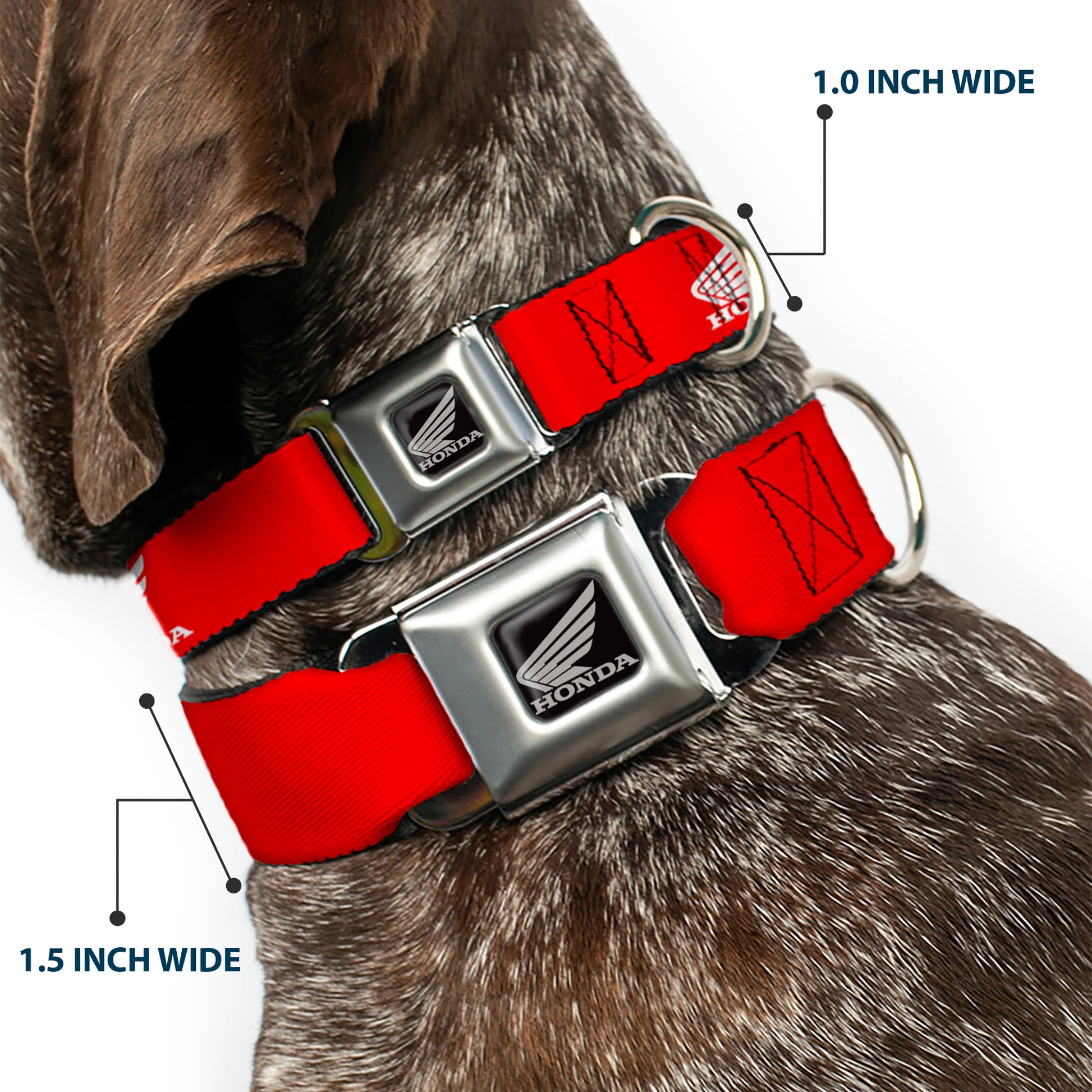 Honda Motorcycle Black/Silver Seatbelt Buckle Collar - HONDA Motorcycle Logo Red/White Seatbelt Buckle Collars Honda Motorsports