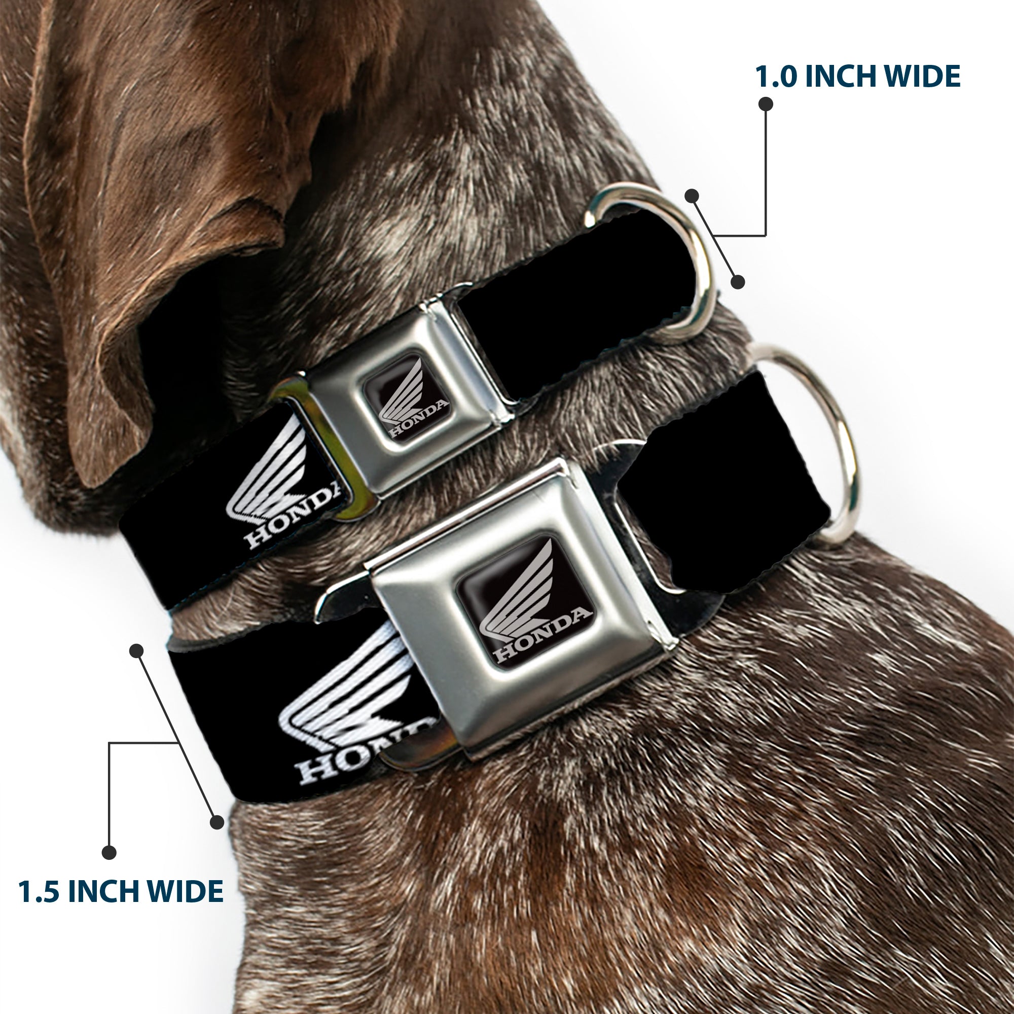 Honda Motorcycle Black Silver Seatbelt Buckle Collar - HONDA Motorcycle Logo Black/White Seatbelt Buckle Collars Honda Motorsports