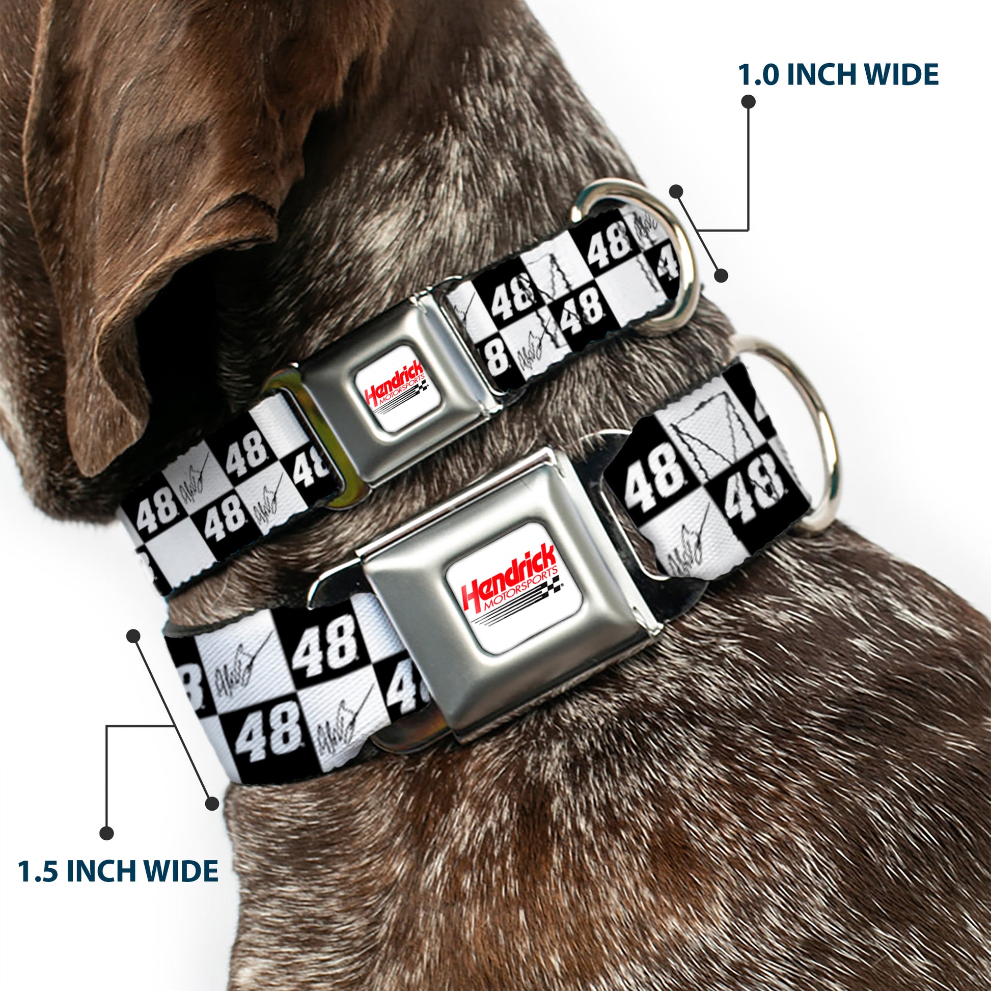 HENDRICK MOTORSPORTS Checker Logo Full Color Red/White Seatbelt Buckle Collar - Alex Bowman Autograph and #48 Checker Logo Black/White Seatbelt Buckle Collars Hendrick Motorsports