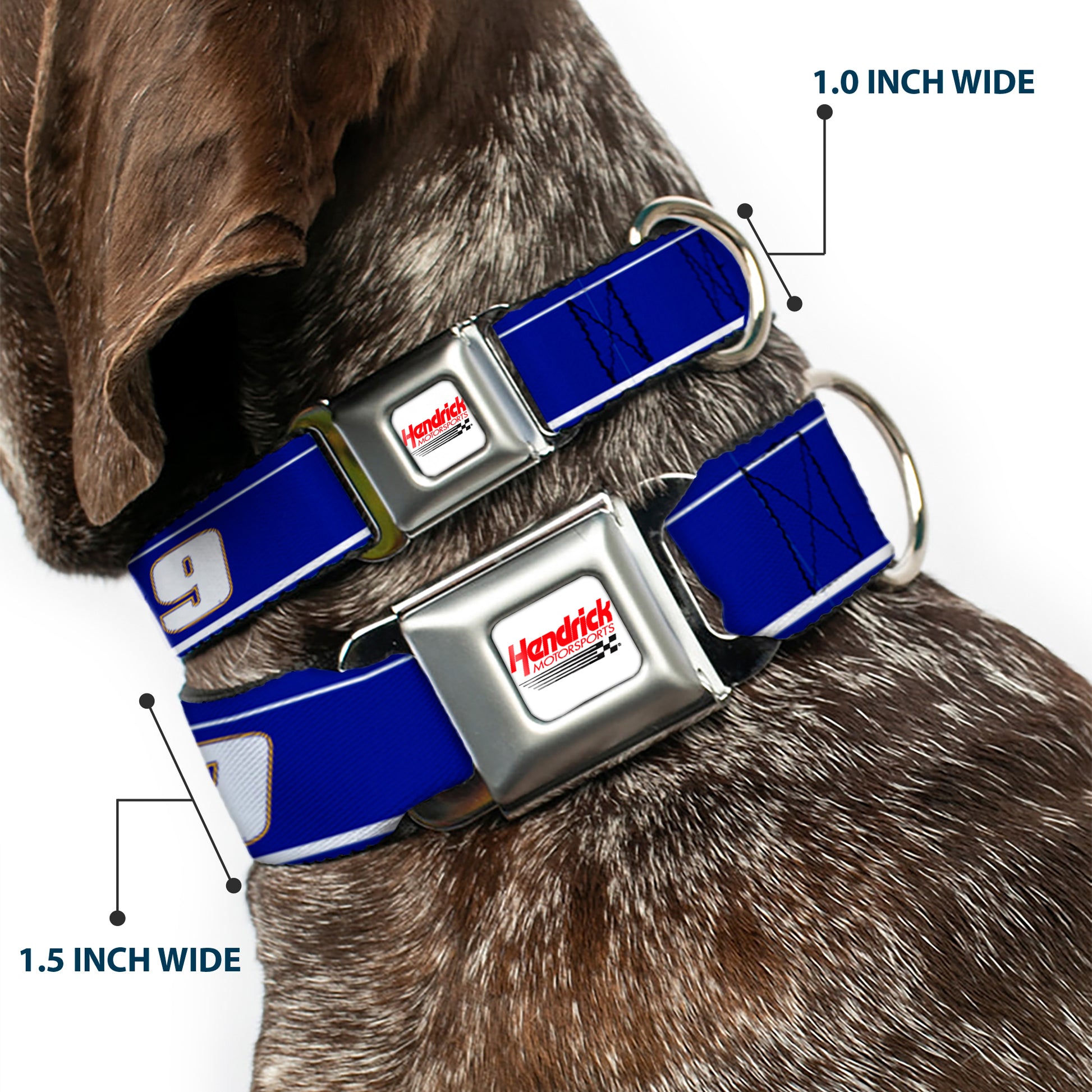 HENDRICK MOTORSPORTS Checker Logo Full Color Red/White Seatbelt Buckle Collar - Chase Elliott #9 Car Scheme Blue/Yellow/White Seatbelt Buckle Collars Hendrick Motorsports