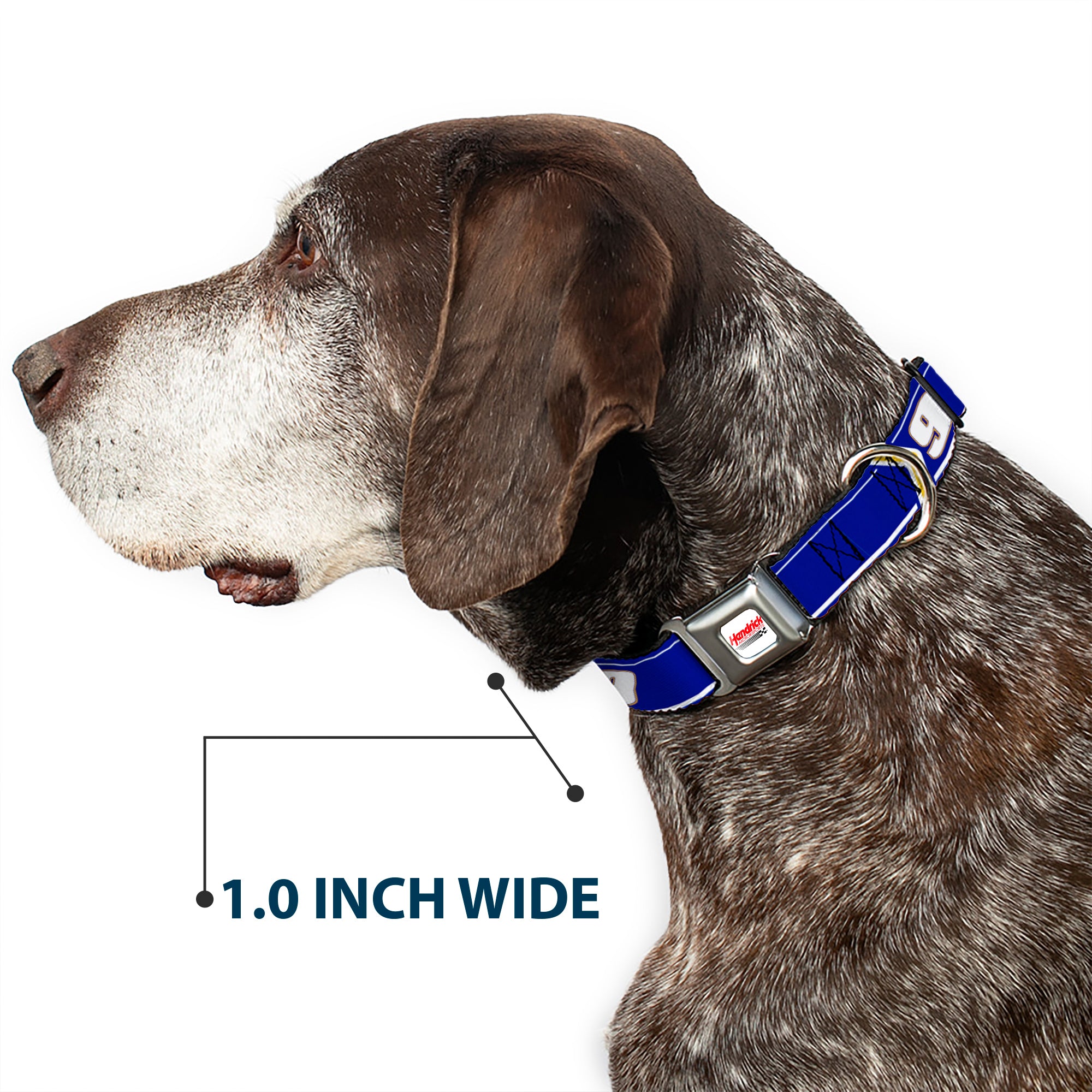 HENDRICK MOTORSPORTS Checker Logo Full Color Red/White Seatbelt Buckle Collar - Chase Elliott #9 Car Scheme Blue/Yellow/White Seatbelt Buckle Collars Hendrick Motorsports