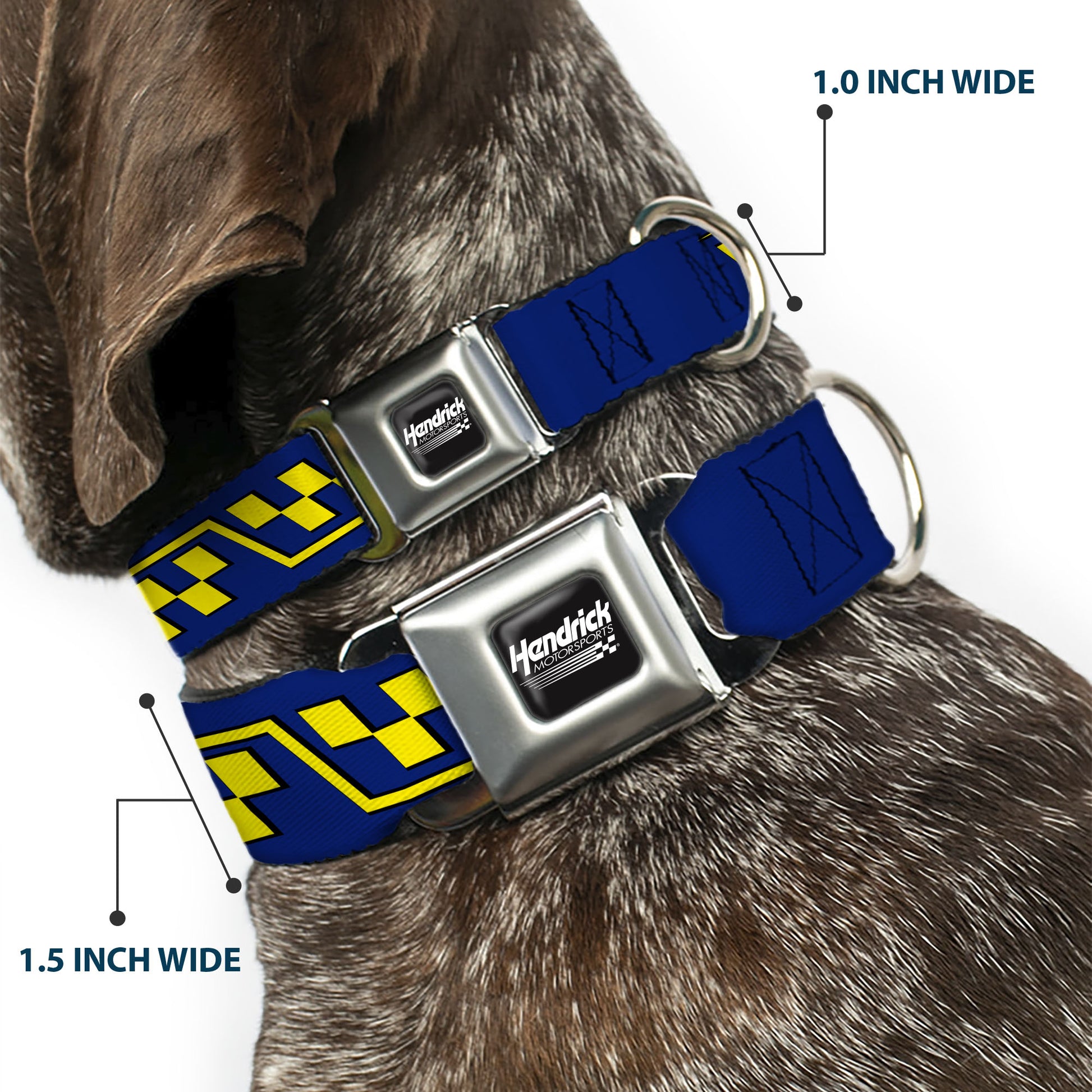 HENDRICK MOTORSPORTS Checker Logo Full Color Black/White Seatbelt Buckle Collar - Jimmie Johnson #48 Autograph Checker Blue/Yellow Seatbelt Buckle Collars Hendrick Motorsports