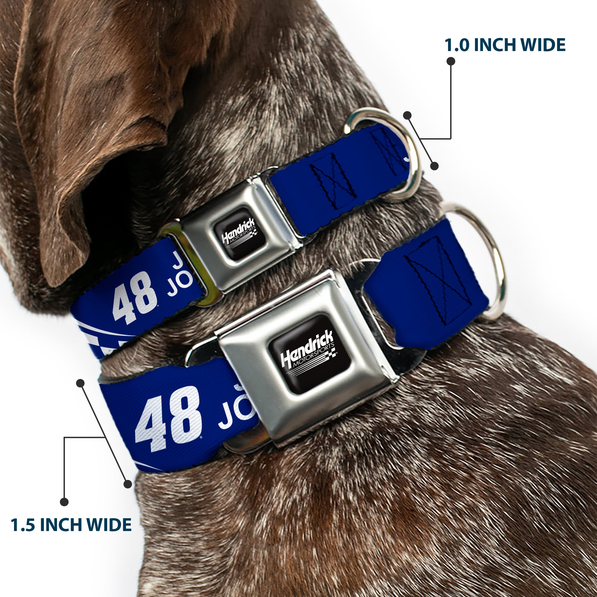 HENDRICK MOTORSPORTS Checker Logo Full Color Black/White Seatbelt Buckle Collar - JIMMIE JOHNSON #48 LOWE'S Logo Checker Blue/White Seatbelt Buckle Collars Hendrick Motorsports