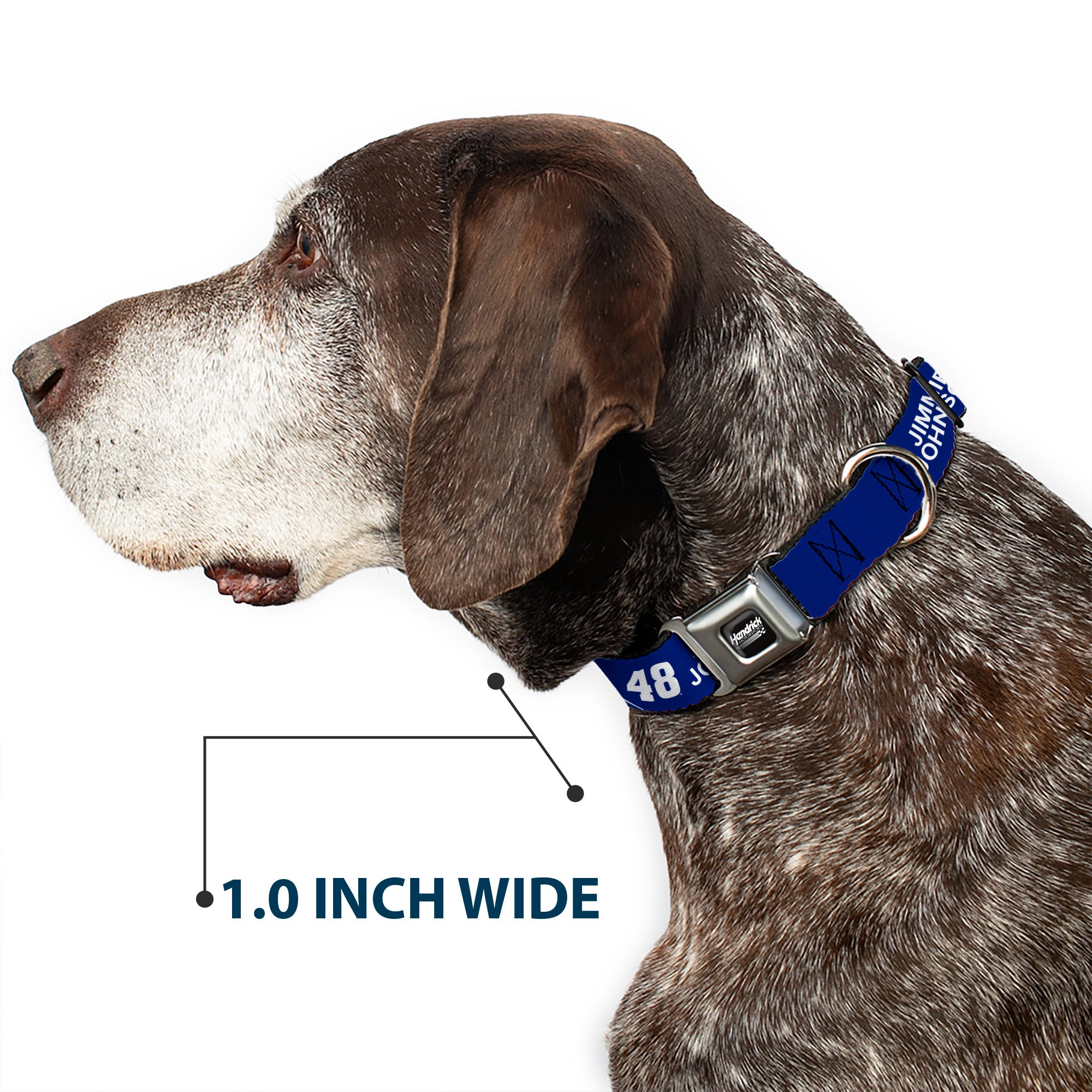 HENDRICK MOTORSPORTS Checker Logo Full Color Black/White Seatbelt Buckle Collar - JIMMIE JOHNSON #48 LOWE'S Logo Checker Blue/White Seatbelt Buckle Collars Hendrick Motorsports
