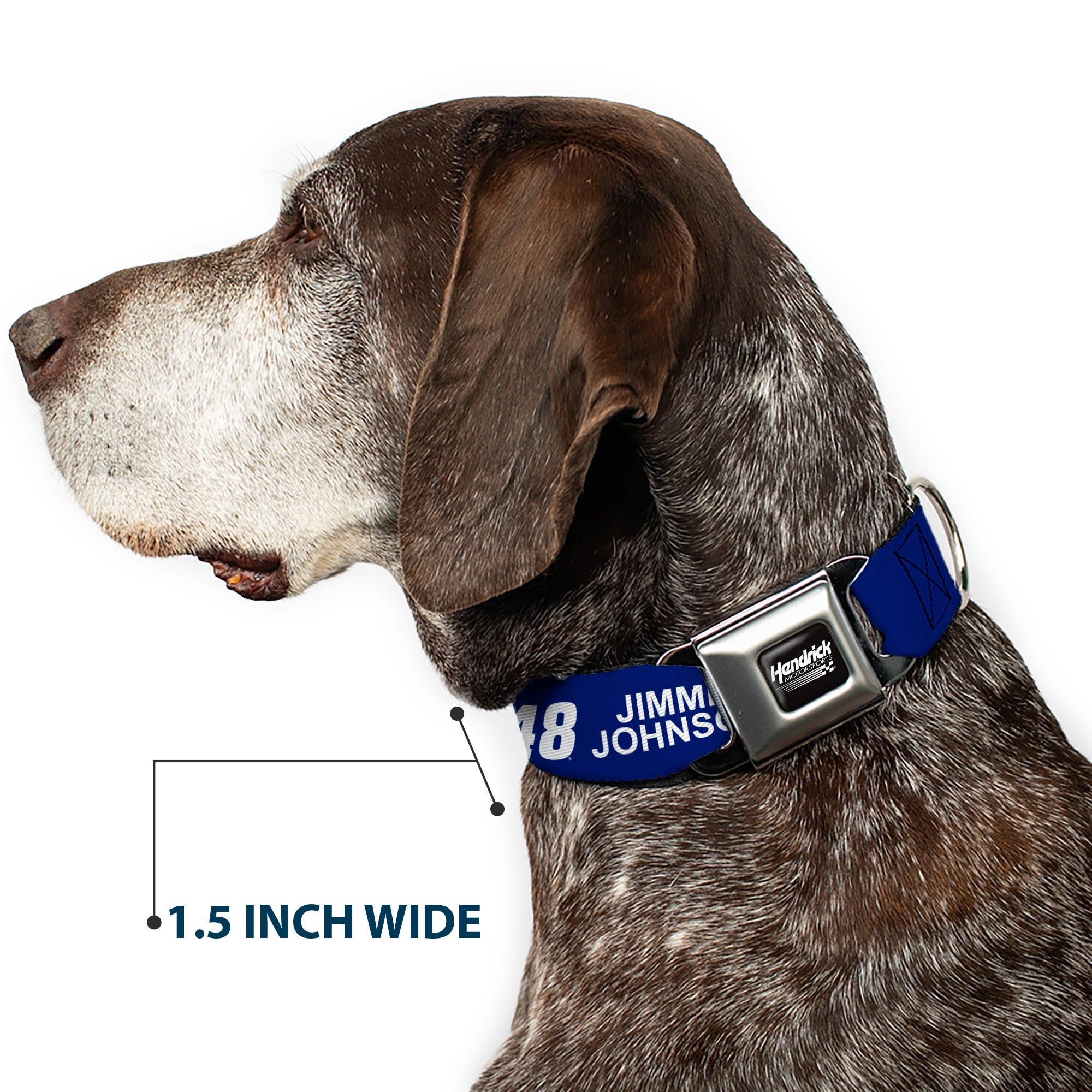 HENDRICK MOTORSPORTS Checker Logo Full Color Black/White Seatbelt Buckle Collar - JIMMIE JOHNSON #48 LOWE'S Logo Checker Blue/White Seatbelt Buckle Collars Hendrick Motorsports