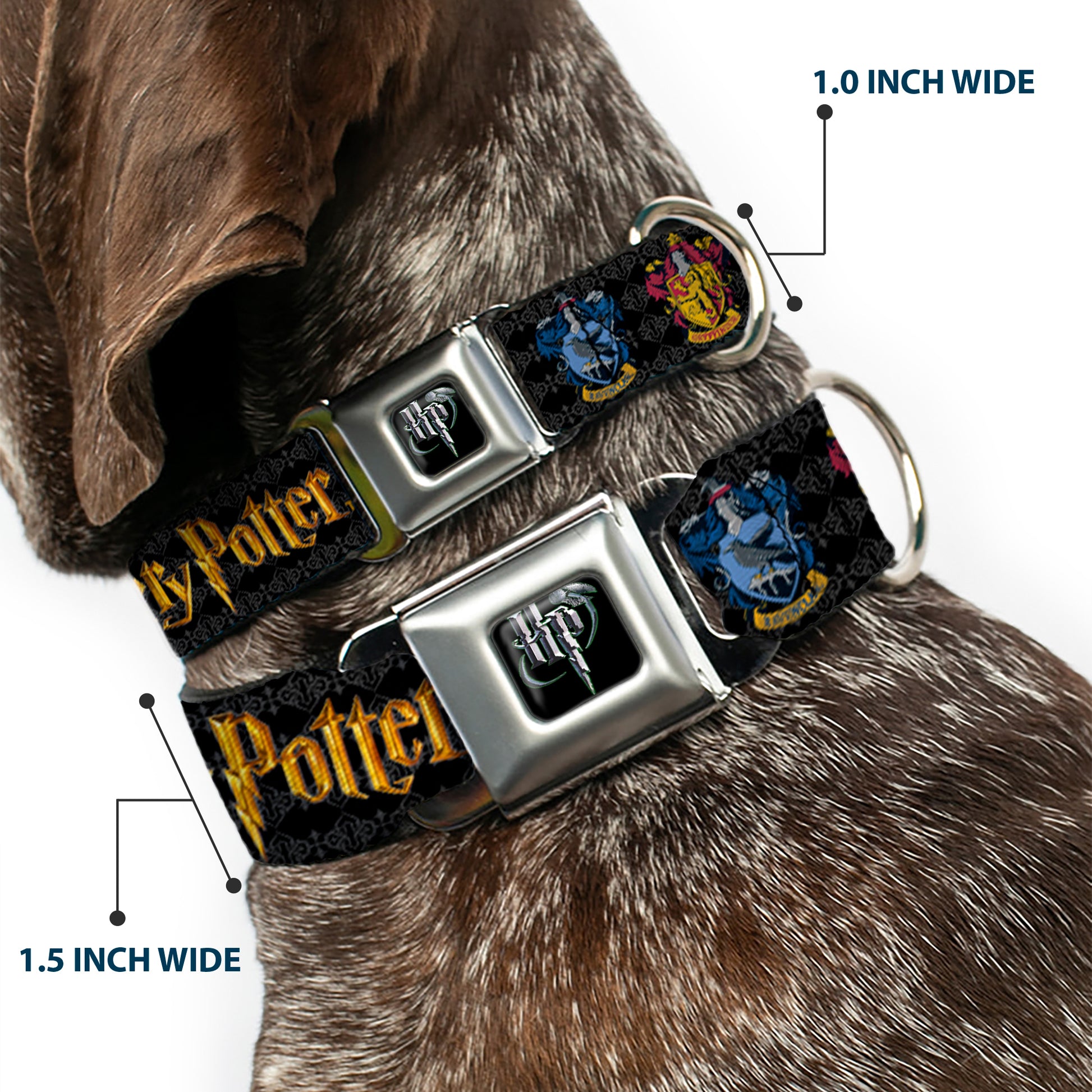 Harry Potter Logo Full Color Black/White Seatbelt Buckle Collar - HARRY POTTER Hufflepuff/Ravenclaw/Gryffindor/Slytherin Coat of Arms Black Seatbelt Buckle Collars Harry Potter