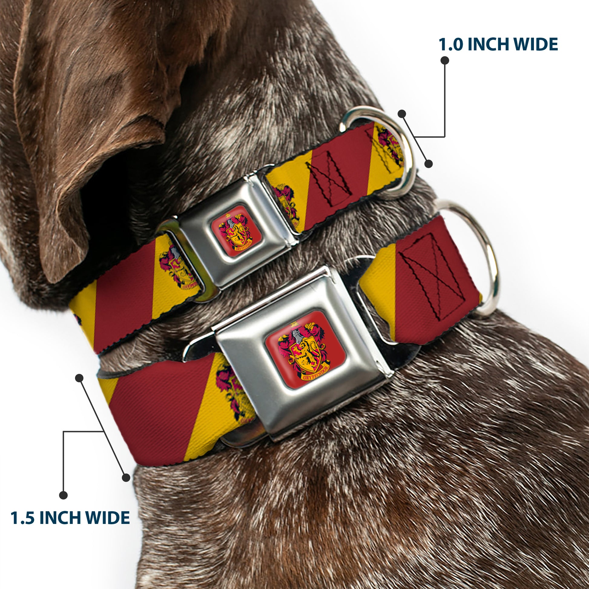 GRYFFINDOR Crest Full Color Red Seatbelt Buckle Collar - GRYFFINDOR Crest Diagonal Stripe Gold/Red Seatbelt Buckle Collars Harry Potter