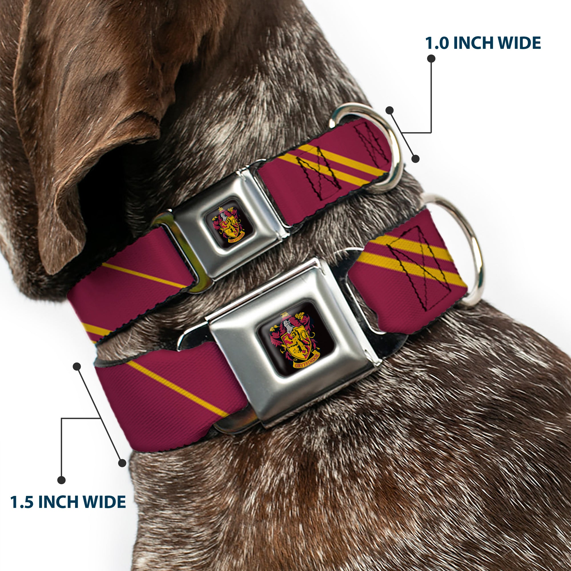 Gryffindor Crest Full Color Seatbelt Buckle Collar - GRYFFINDOR Crest/Stripe Burgundy/Gold Seatbelt Buckle Collars Harry Potter
