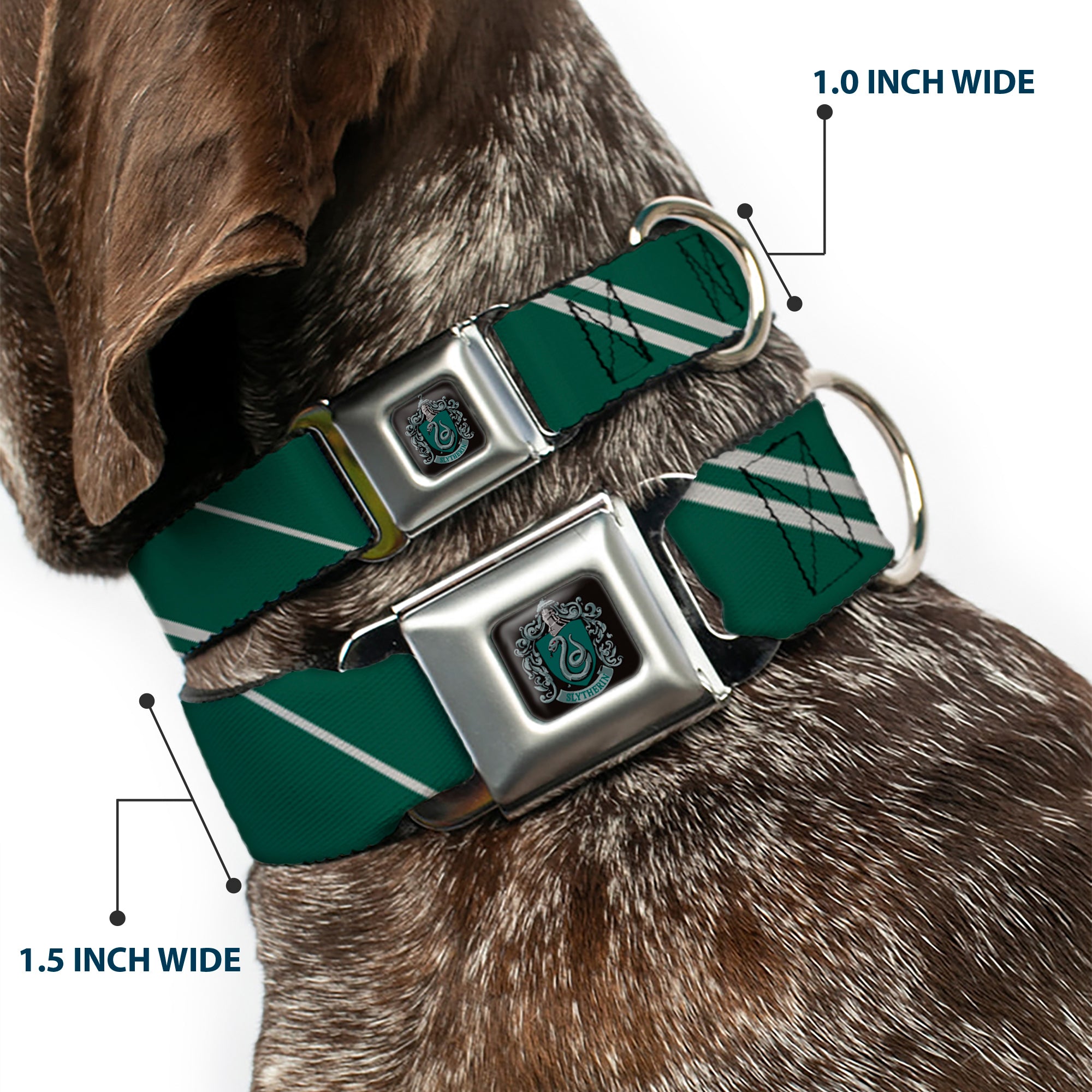 Slytherin Crest Full Color Seatbelt Buckle Collar - Slytherin Crest/Stripe5 Green/Gray Seatbelt Buckle Collars Harry Potter
