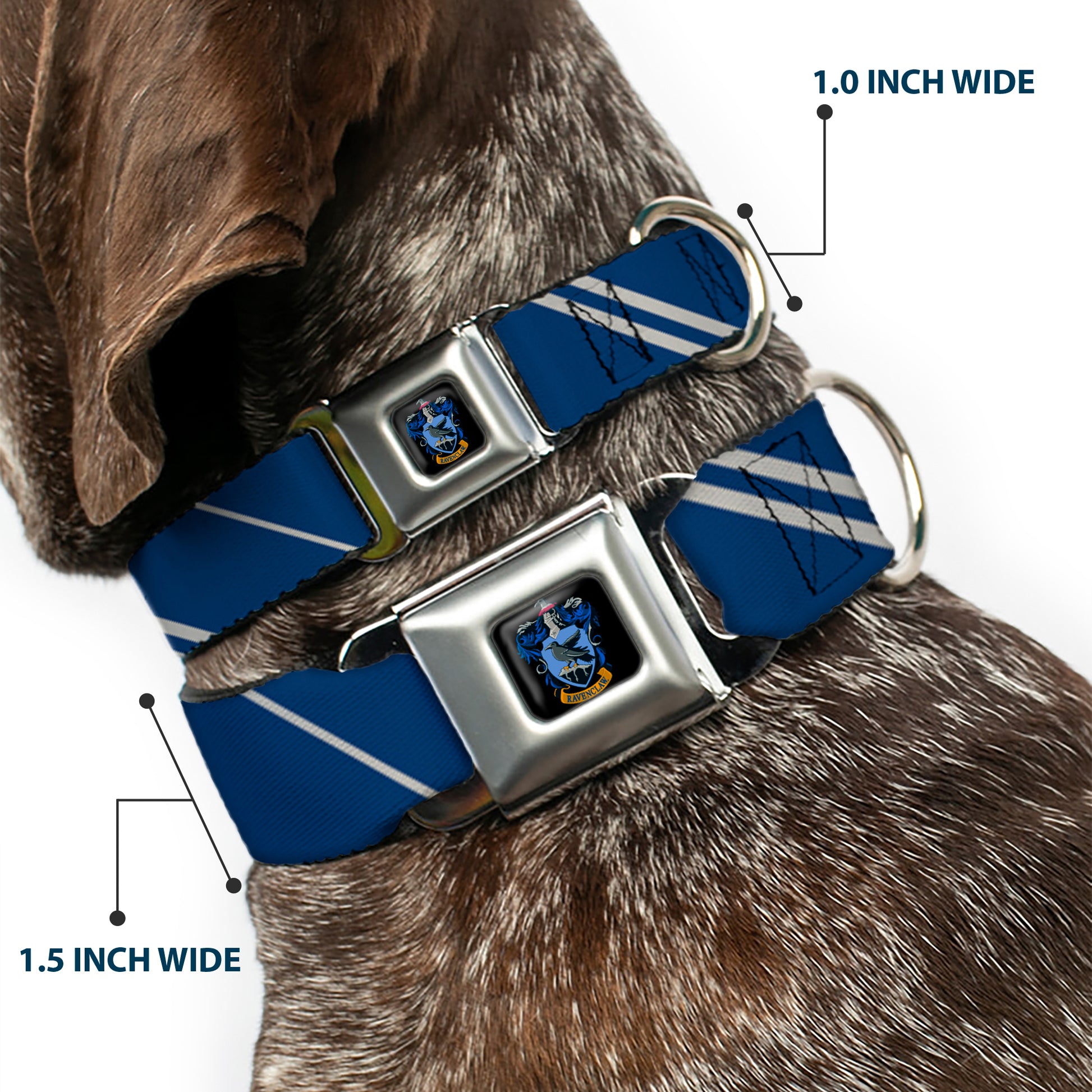 Ravenclaw Crest Full Color Seatbelt Buckle Collar - RAVENCLAW Crest/Stripe Blue/Gray Seatbelt Buckle Collars Harry Potter