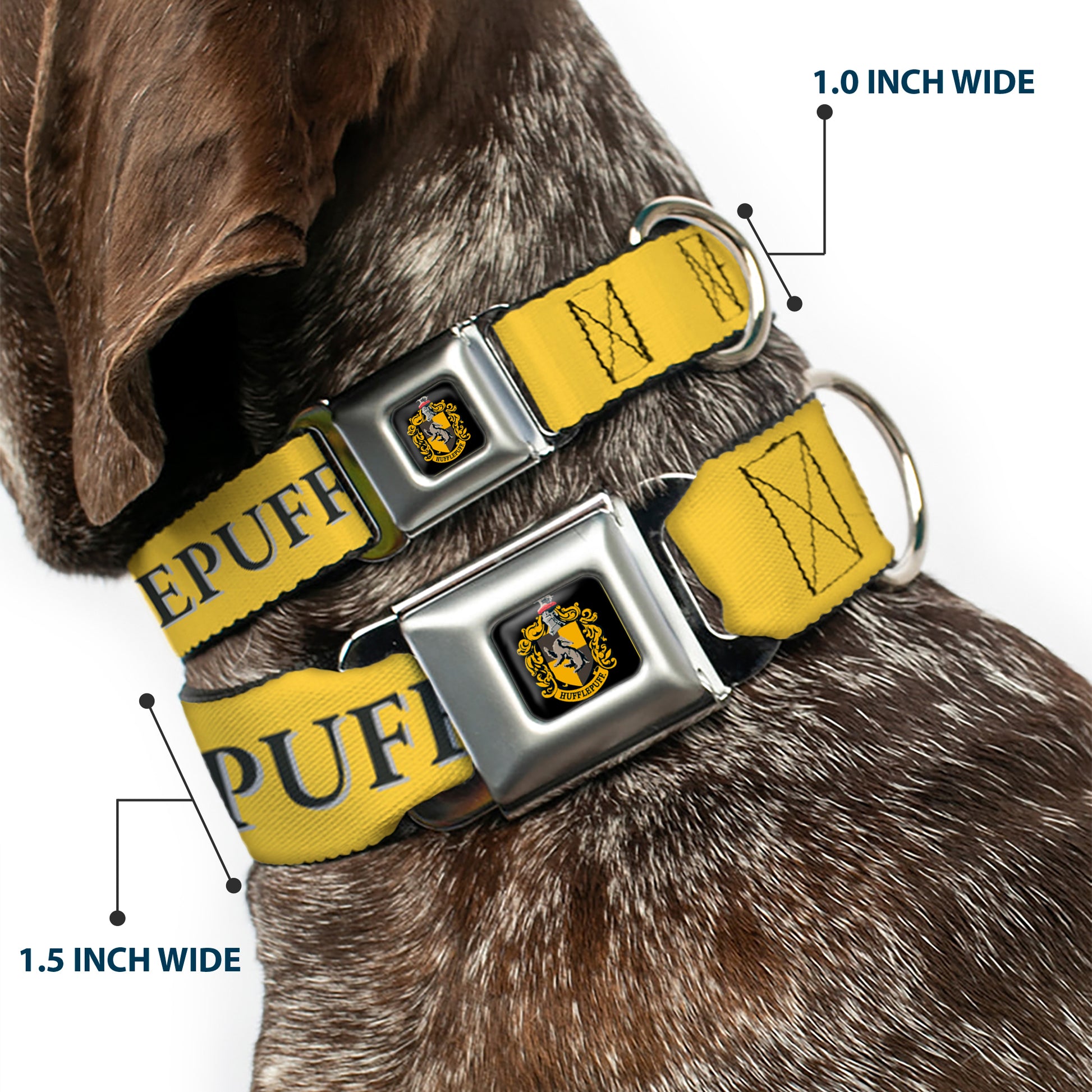 Hufflepuff Crest Full Color Seatbelt Buckle Collar - Harry Potter HUFFLEPUFF & Crest Yellow/Black Seatbelt Buckle Collars Harry Potter