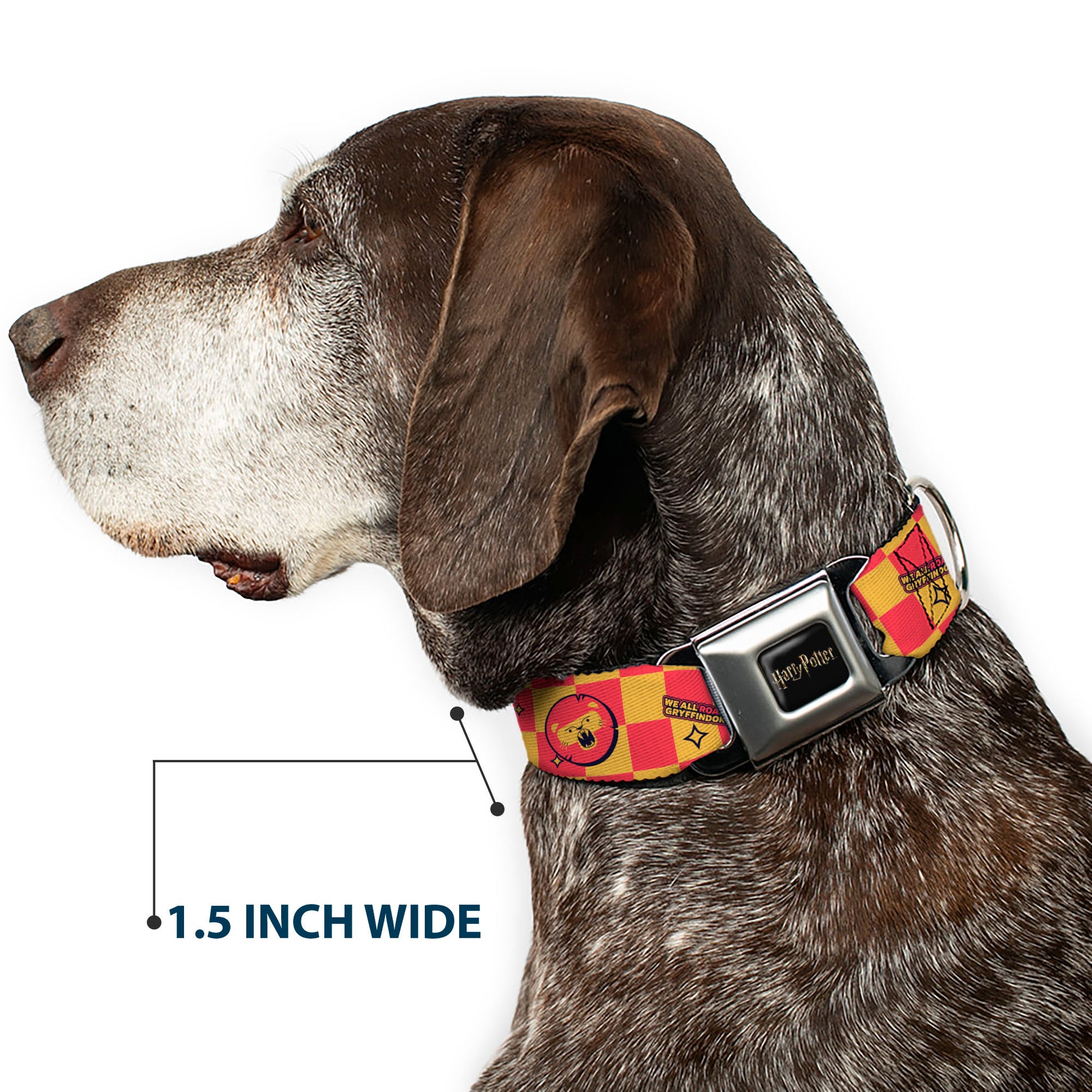 HARRY POTTER Title Logo Full Color Black Seatbelt Buckle Collar - Harry Potter Gryffindor Icons Checker Yellow/Red Seatbelt Buckle Collars Harry Potter