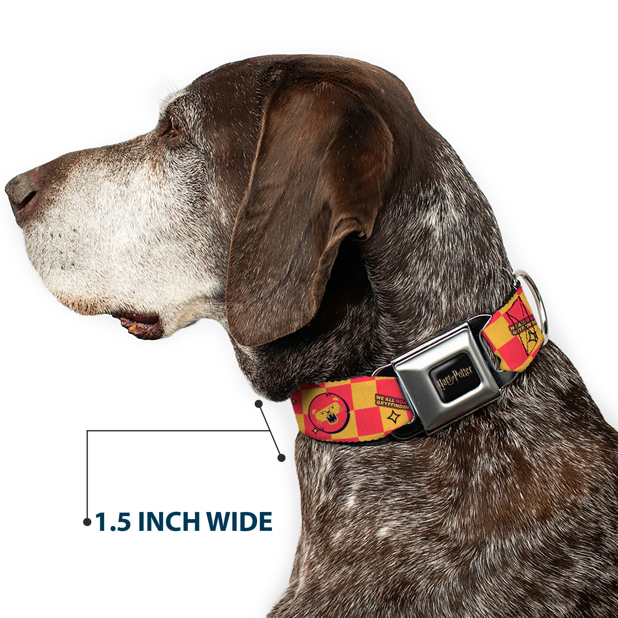 HARRY POTTER Title Logo Full Color Black Seatbelt Buckle Collar - Harry Potter Gryffindor Icons Checker Yellow/Red Seatbelt Buckle Collars Harry Potter