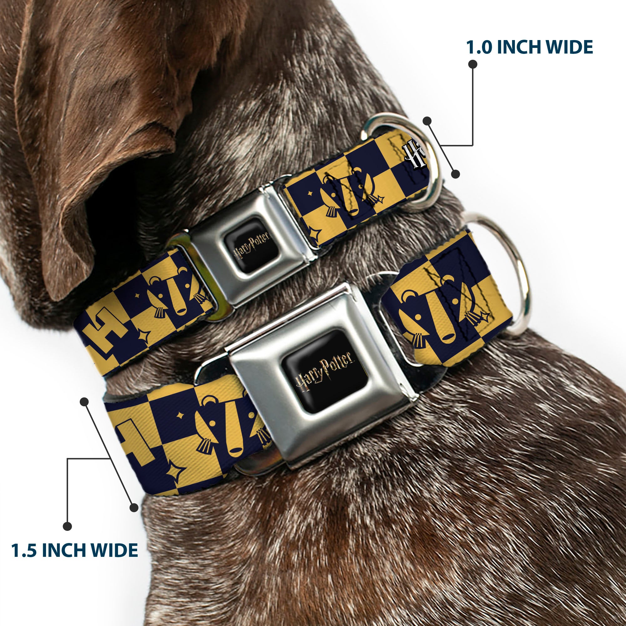 HARRY POTTER Title Logo Full Color Black Seatbelt Buckle Collar - Harry Potter Hufflepuff Icons Checker Yellow/Navy Seatbelt Buckle Collars Harry Potter