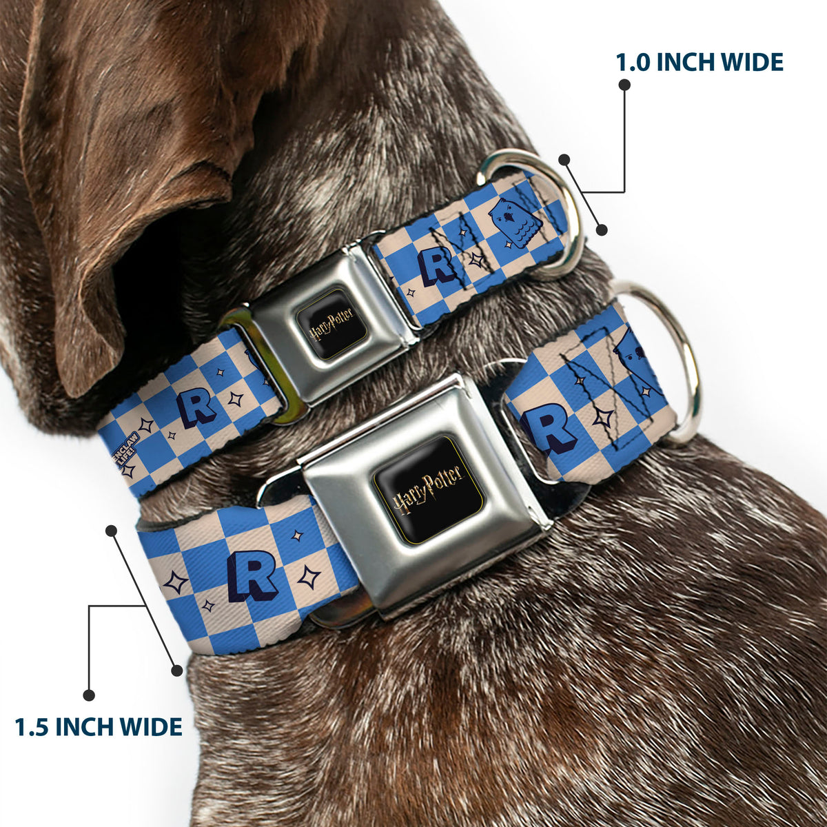 HARRY POTTER Title Logo Full Color Black Seatbelt Buckle Collar - Harry Potter Ravenclaw Icons Checker White/Blue Dog Collars Seatbelt Buckle Harry Potter