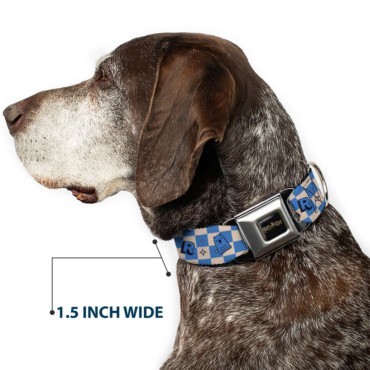 HARRY POTTER Title Logo Full Color Black Seatbelt Buckle Collar - Harry Potter Ravenclaw Icons Checker White/Blue Dog Collars Seatbelt Buckle Harry Potter