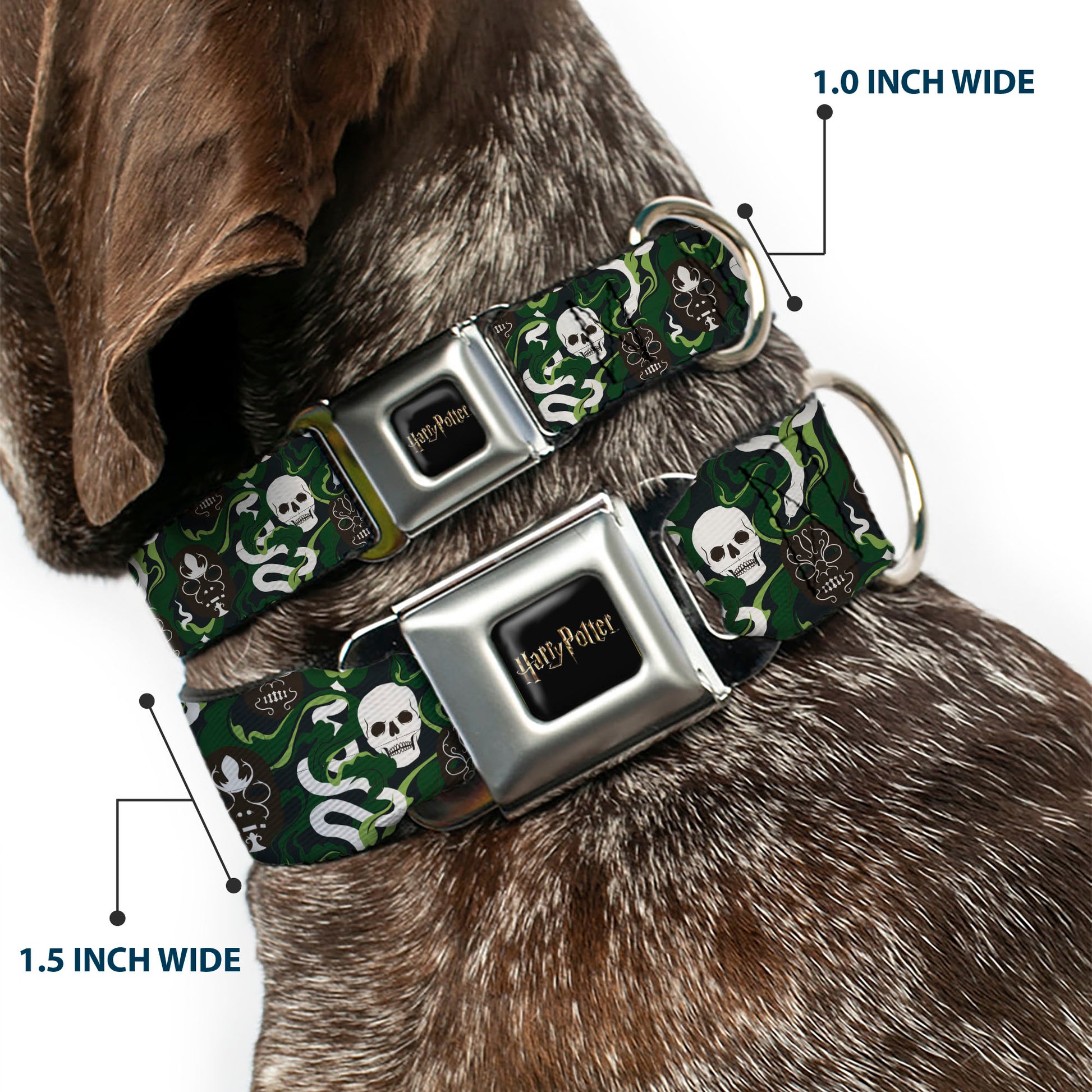 HARRY POTTER Title Logo Full Color Black Seatbelt Buckle Collar - HARRY POTTER Slytherin Camo and Title Logo Greens Seatbelt Buckle Collars Harry Potter