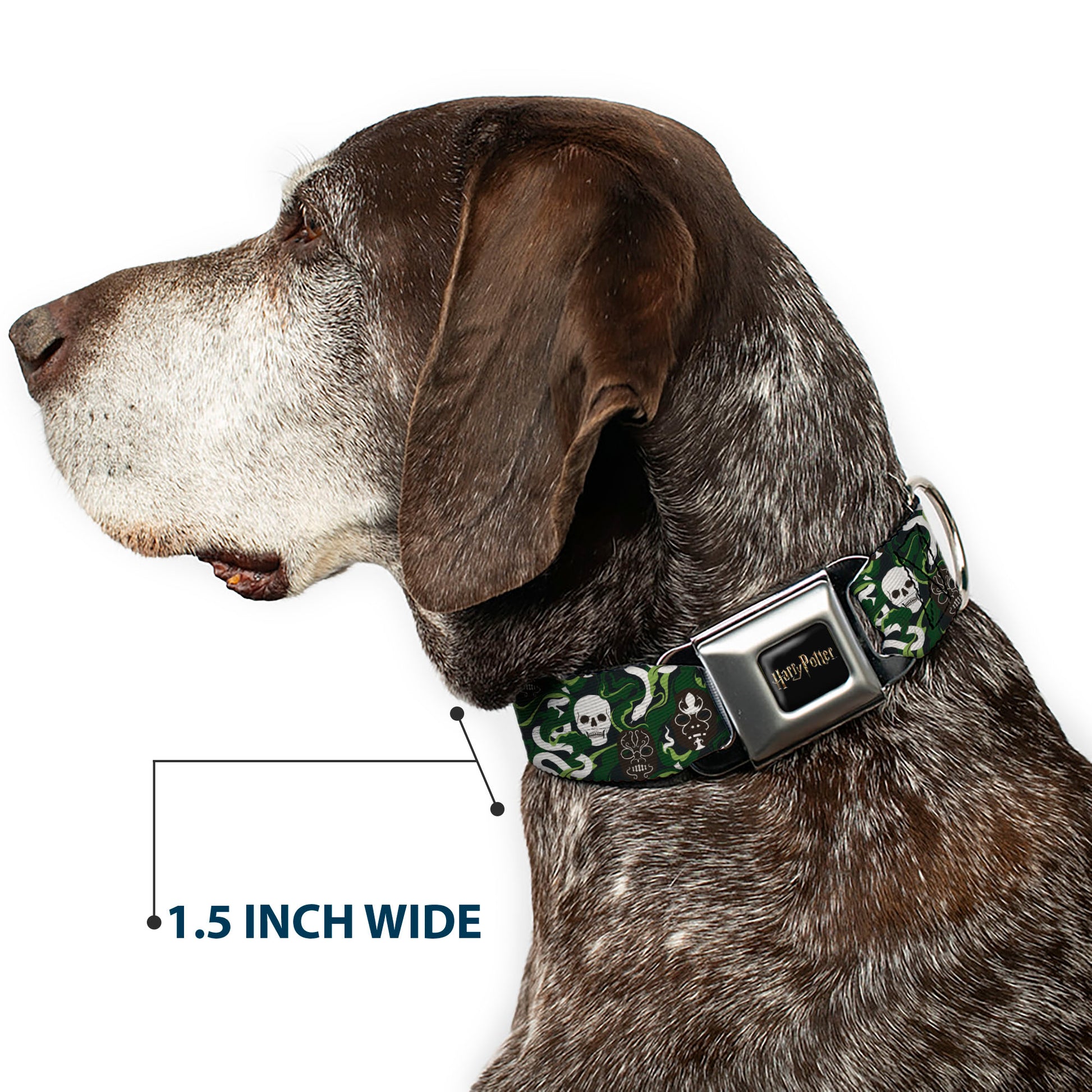 HARRY POTTER Title Logo Full Color Black Seatbelt Buckle Collar - HARRY POTTER Slytherin Camo and Title Logo Greens Seatbelt Buckle Collars Harry Potter