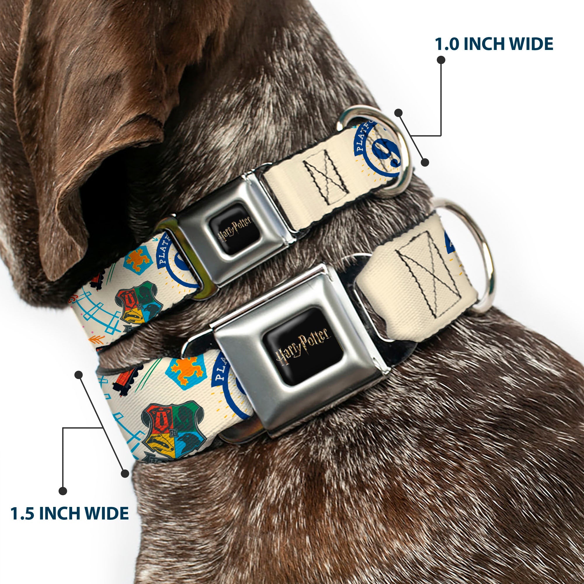 HARRY POTTER Title Logo Full Color Black Seatbelt Buckle Collar - Harry Potter HOGWARTS EXPRESS Icons Collage Beige/Multi Color Seatbelt Buckle Collars Harry Potter