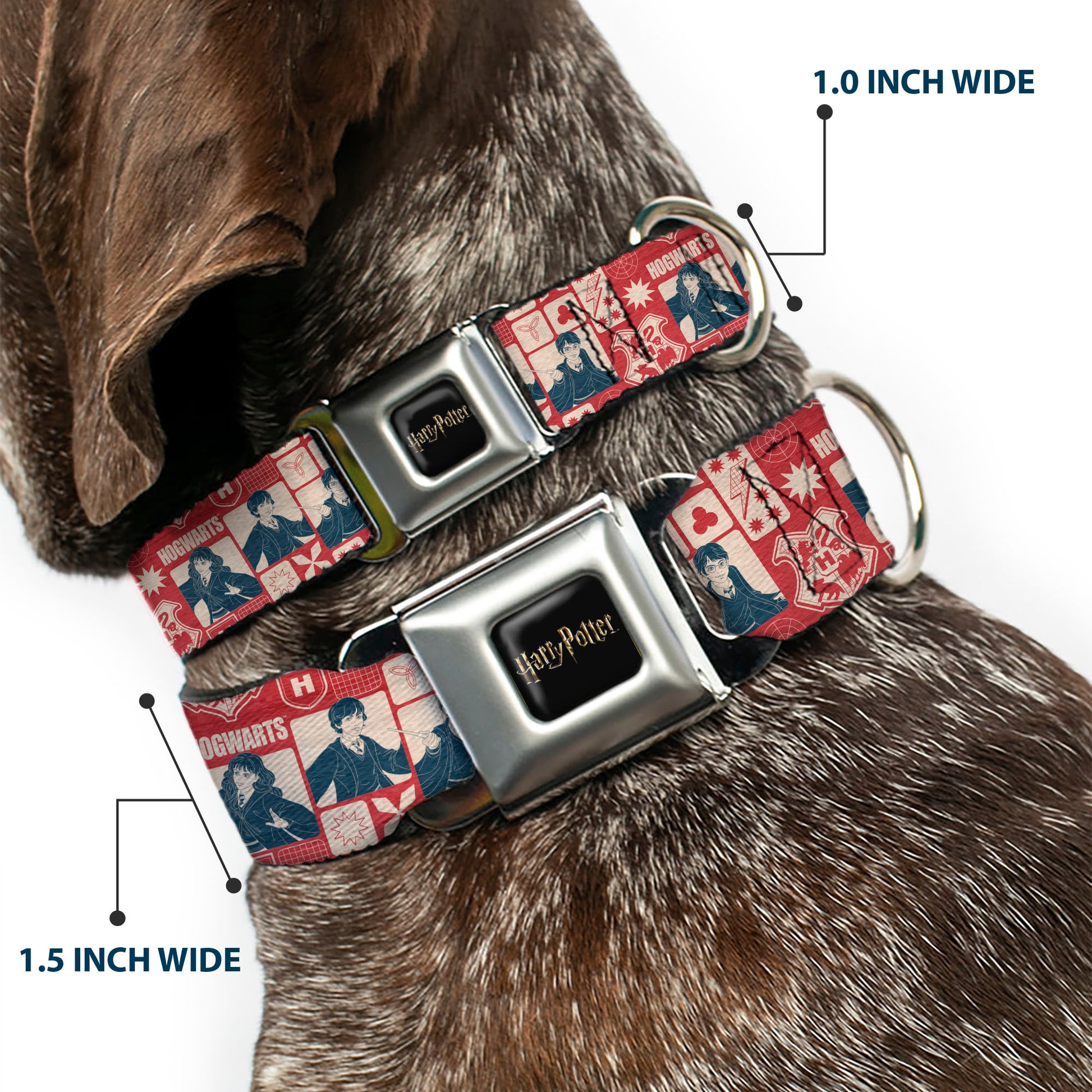 HARRY POTTER Title Logo Full Color Black Seatbelt Buckle Collar - Harry Potter HOGWARTS The Golden Trio Magic Collage Reds Seatbelt Buckle Collars Harry Potter