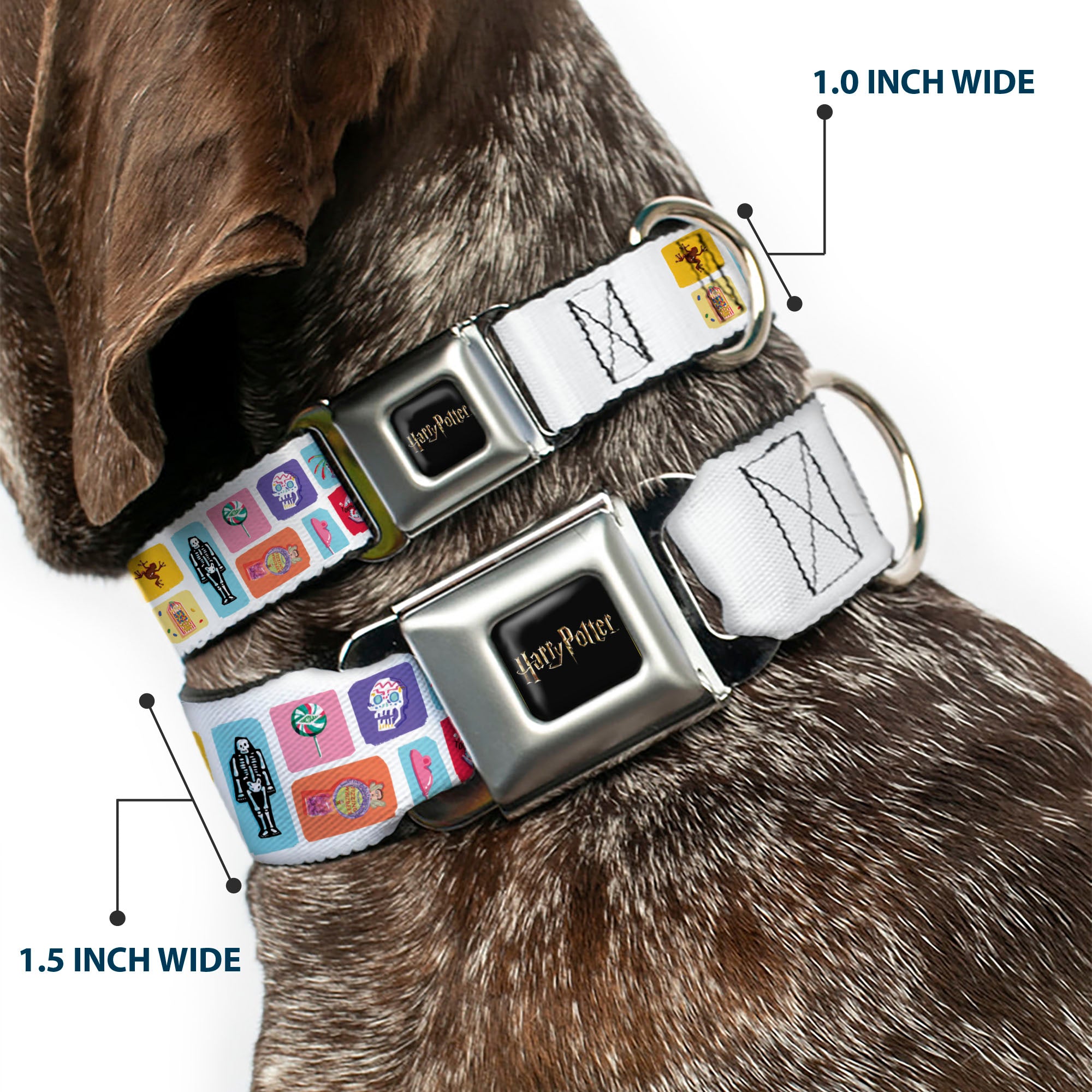HARRY POTTER Title Logo Full Color Black Seatbelt Buckle Collar - Harry Potter Honeydukes Icons Collage White/Multi Color Seatbelt Buckle Collars Harry Potter