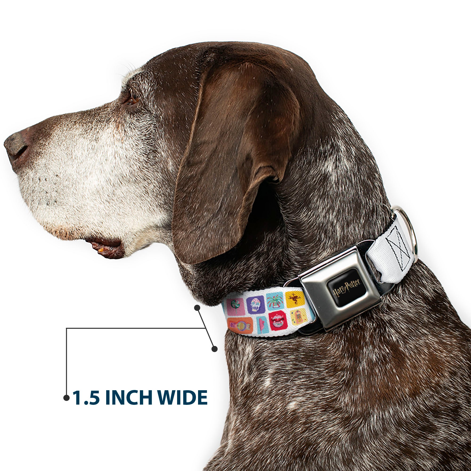 HARRY POTTER Title Logo Full Color Black Seatbelt Buckle Collar - Harry Potter Honeydukes Icons Collage White/Multi Color Seatbelt Buckle Collars Harry Potter