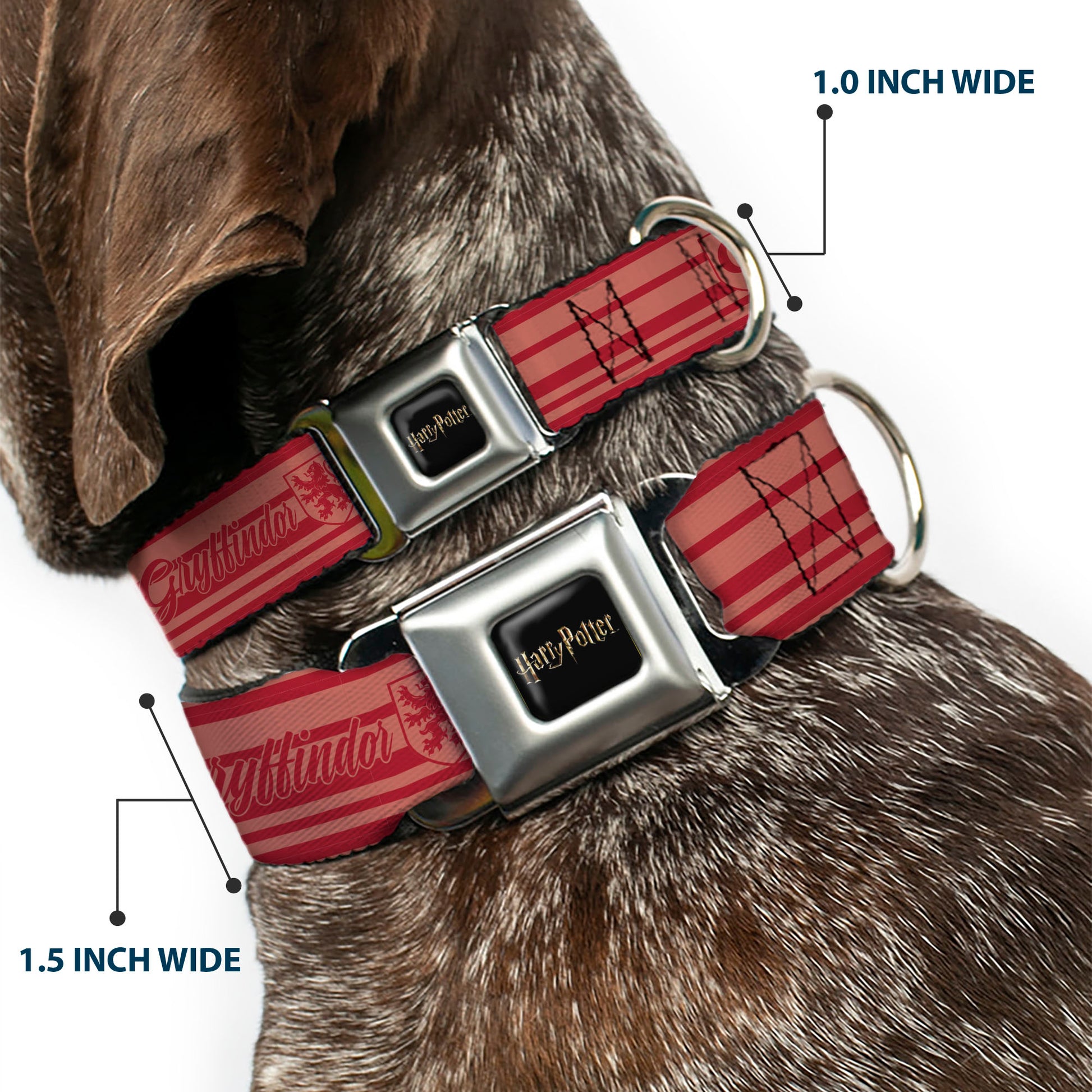 HARRY POTTER Title Logo Full Color Black Seatbelt Buckle Collar - Harry Potter Gryffindor House Champion Icons Stripe Red Seatbelt Buckle Collars Harry Potter