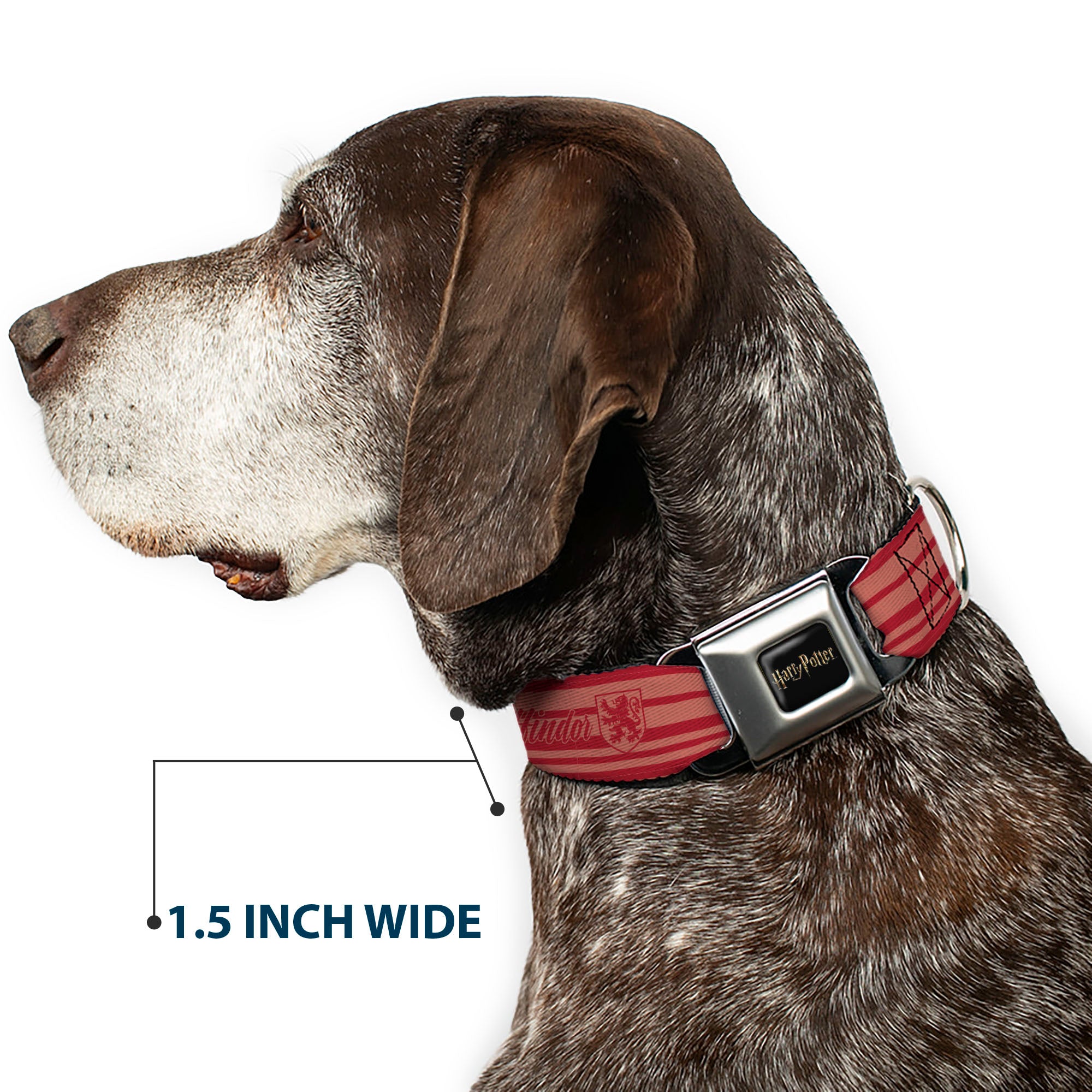 HARRY POTTER Title Logo Full Color Black Seatbelt Buckle Collar - Harry Potter Gryffindor House Champion Icons Stripe Red Seatbelt Buckle Collars Harry Potter