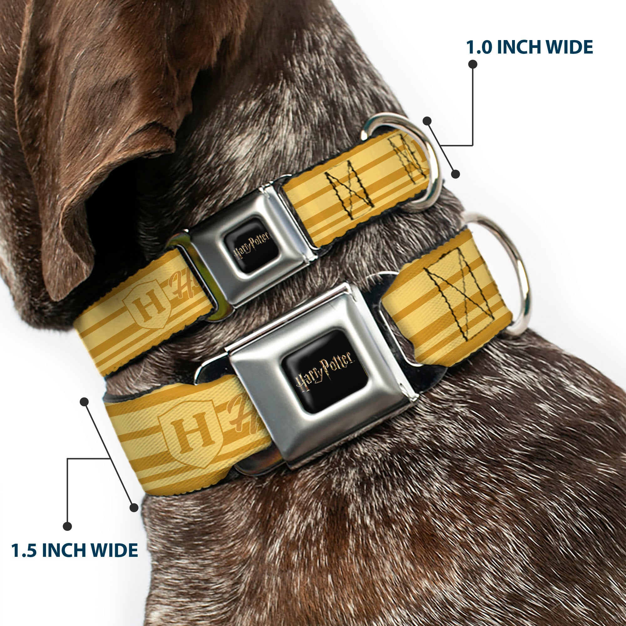HARRY POTTER Title Logo Full Color Black Seatbelt Buckle Collar - Harry Potter Hufflepuff House Champion Icons Stripe Yellows Seatbelt Buckle Collars Harry Potter