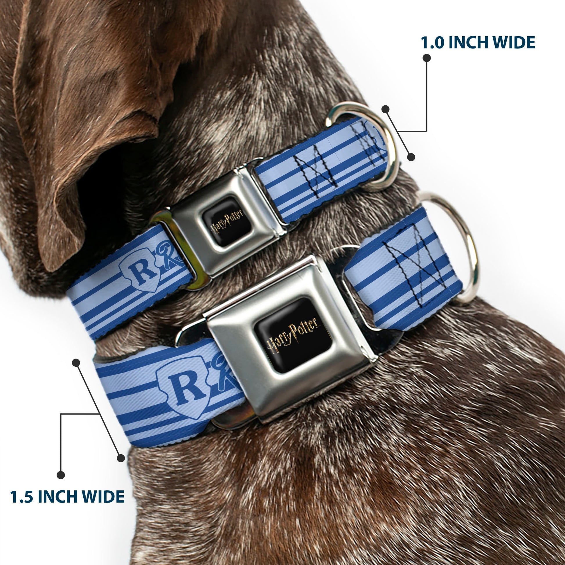 HARRY POTTER Title Logo Full Color Black Seatbelt Buckle Collar - Harry Potter Ravenclaw House Champion Icons Stripe Blues Seatbelt Buckle Collars Harry Potter