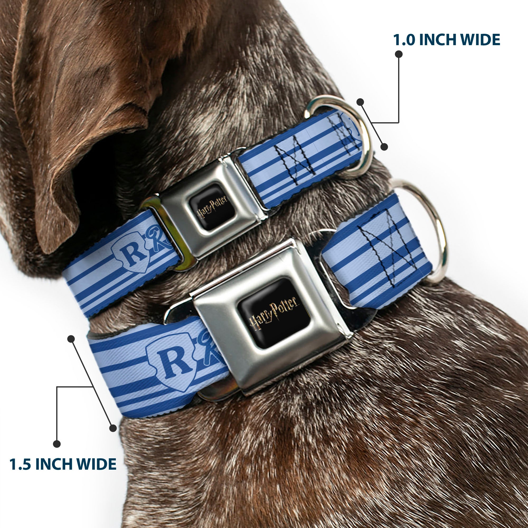 HARRY POTTER Title Logo Full Color Black Seatbelt Buckle Collar - Harry Potter Ravenclaw House Champion Icons Stripe Blues Seatbelt Buckle Collars Harry Potter