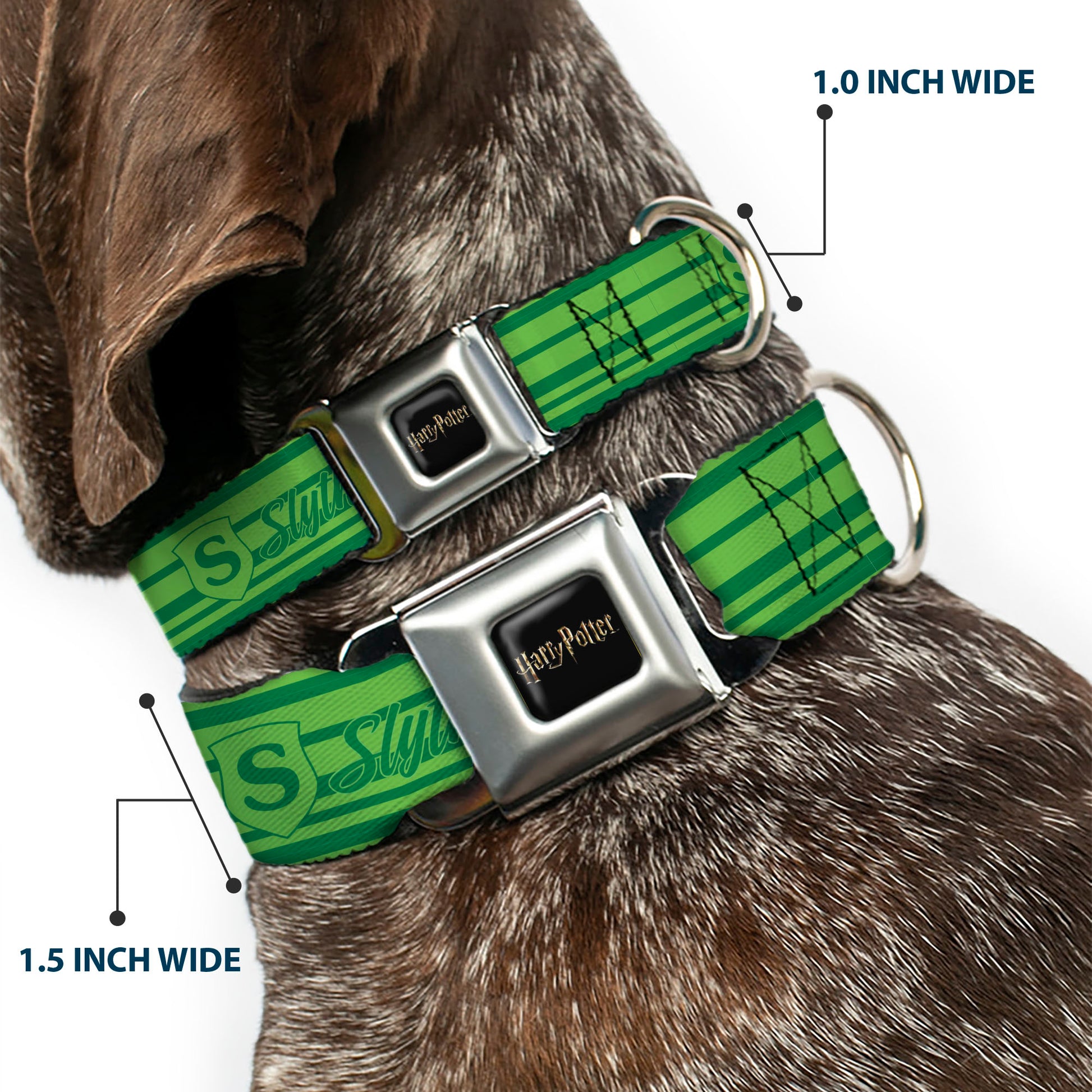 HARRY POTTER Title Logo Full Color Black Seatbelt Buckle Collar - Harry Potter Slytherin House Champion Icons Stripe Greens Seatbelt Buckle Collars Harry Potter