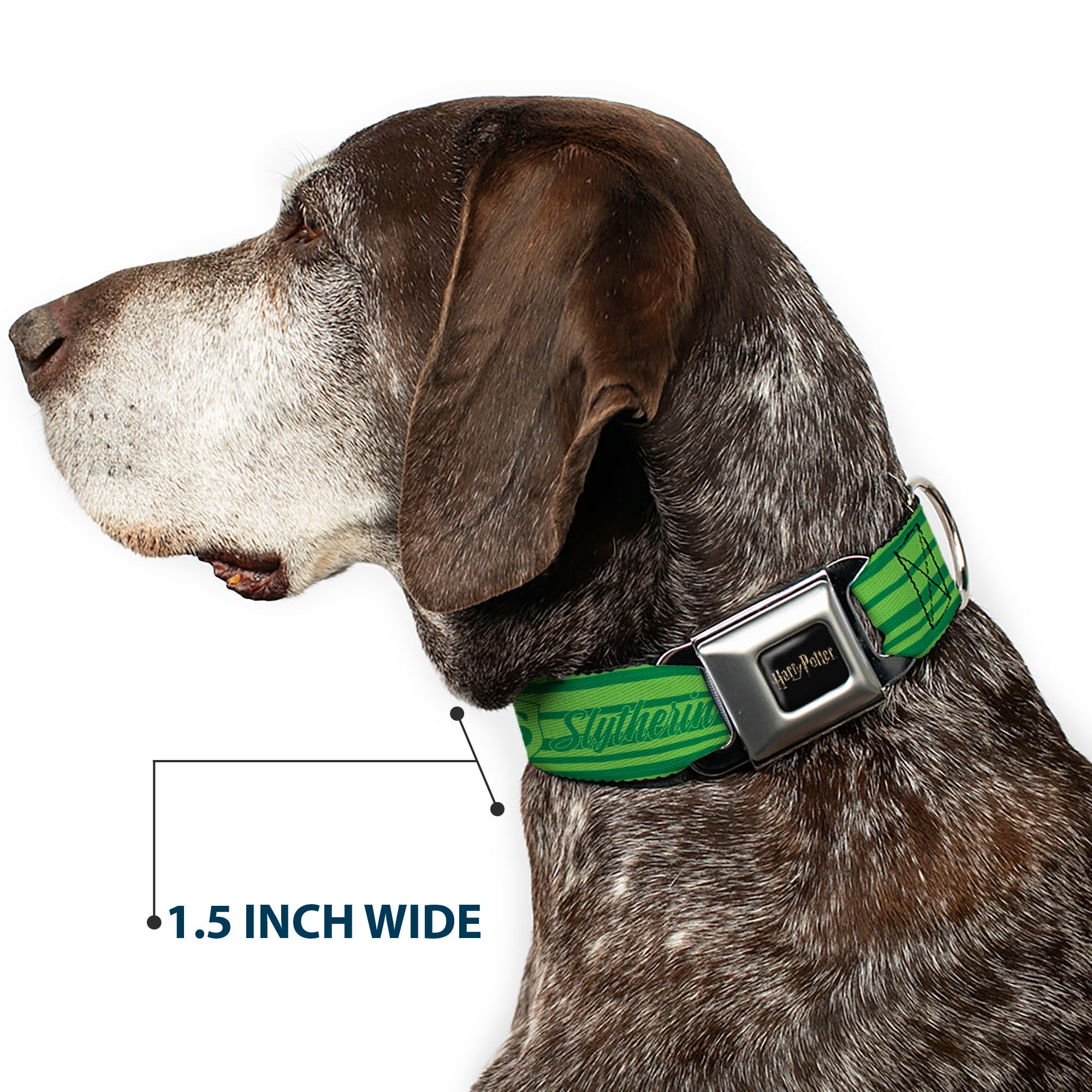 HARRY POTTER Title Logo Full Color Black Seatbelt Buckle Collar - Harry Potter Slytherin House Champion Icons Stripe Greens Seatbelt Buckle Collars Harry Potter
