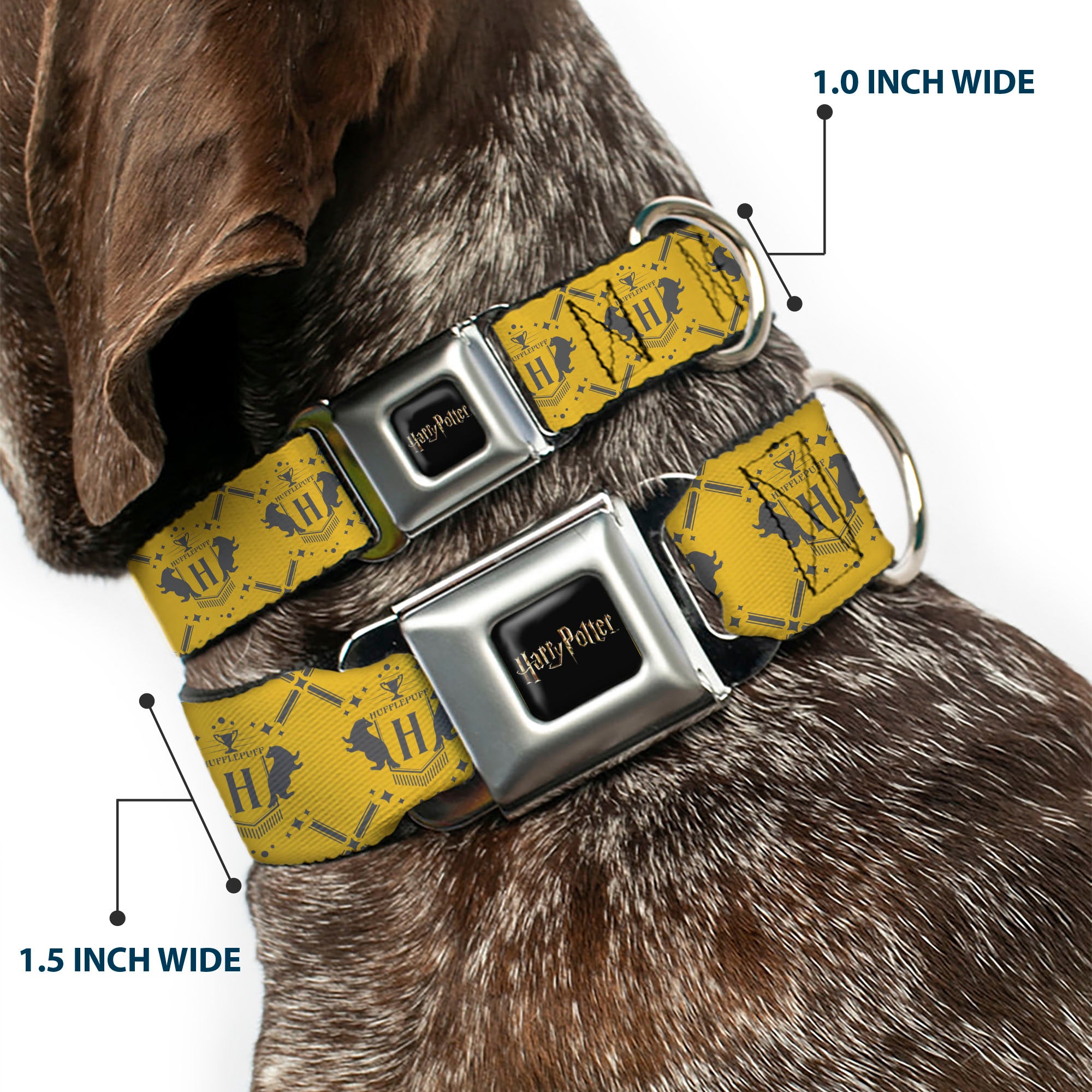 HARRY POTTER Title Logo Full Color Black Seatbelt Buckle Collar - Harry Potter Hufflepuff House Pride Banner Yellow/Gray Seatbelt Buckle Collars Harry Potter