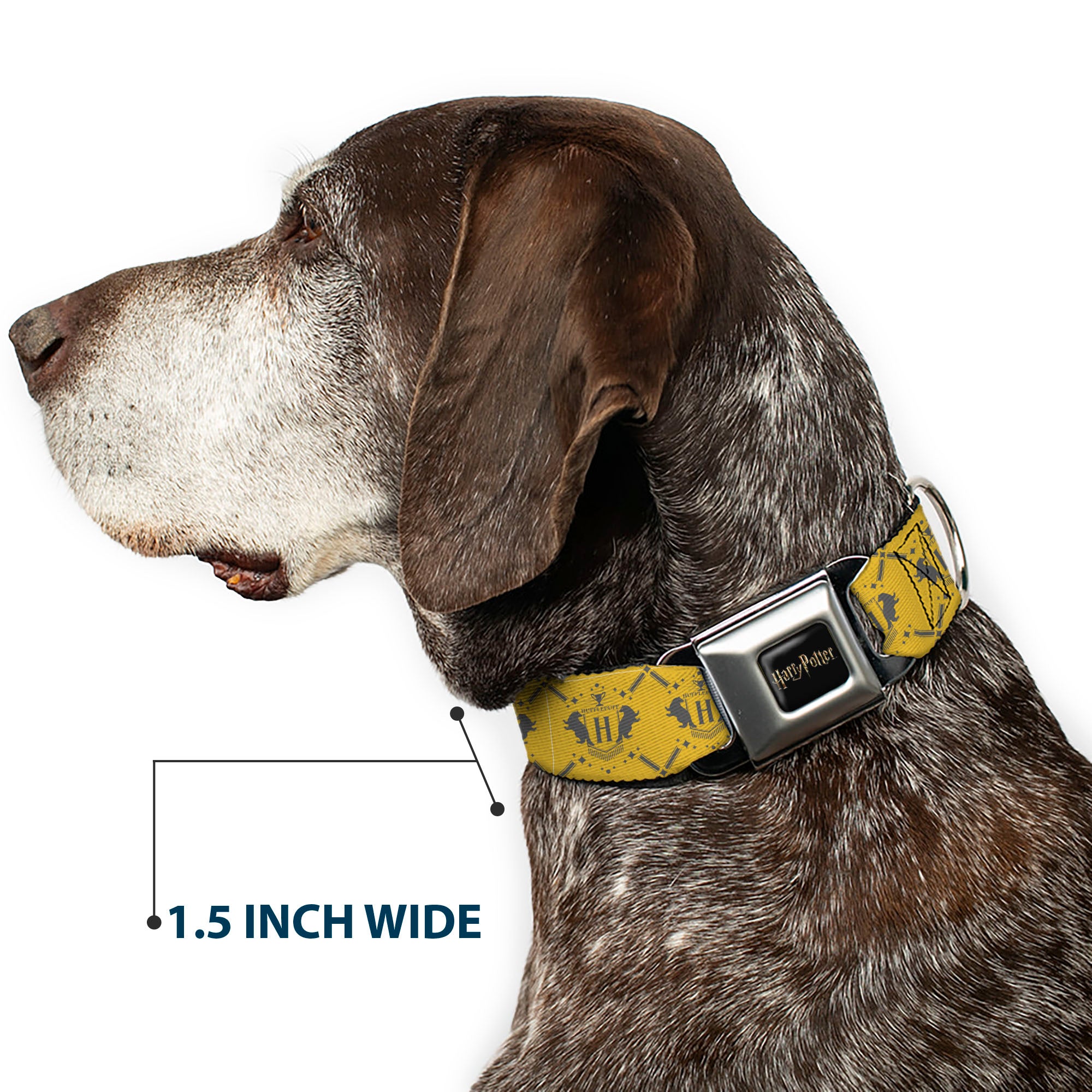 HARRY POTTER Title Logo Full Color Black Seatbelt Buckle Collar - Harry Potter Hufflepuff House Pride Banner Yellow/Gray Seatbelt Buckle Collars Harry Potter