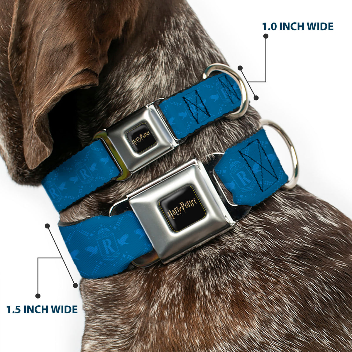 HARRY POTTER Title Logo Full Color Black Seatbelt Buckle Collar - Harry Potter Ravenclaw House Pride Banner Blues Dog Collars Seatbelt Buckle Harry Potter